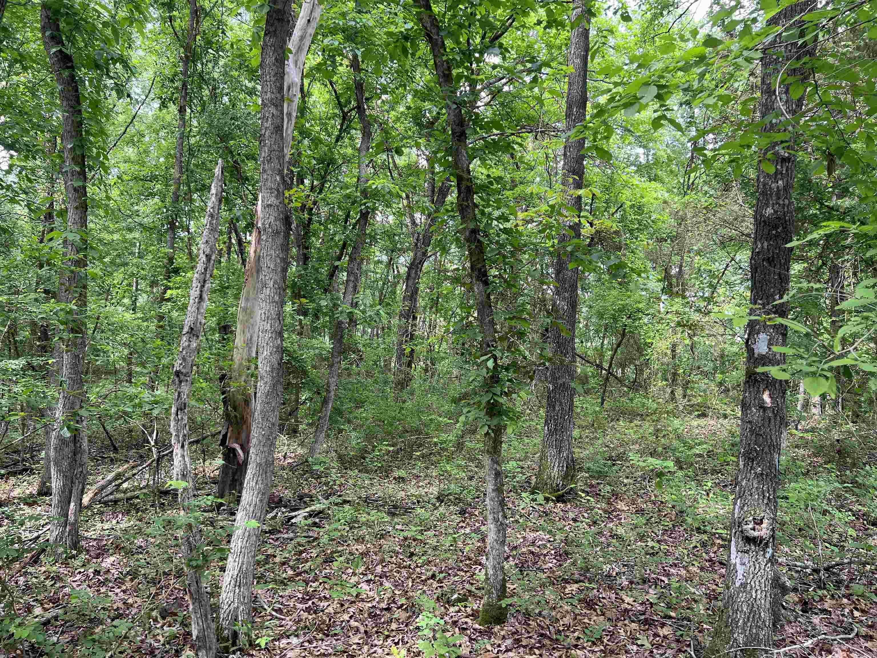   9.58 Acres on Meadow Creek  Harrison, AR