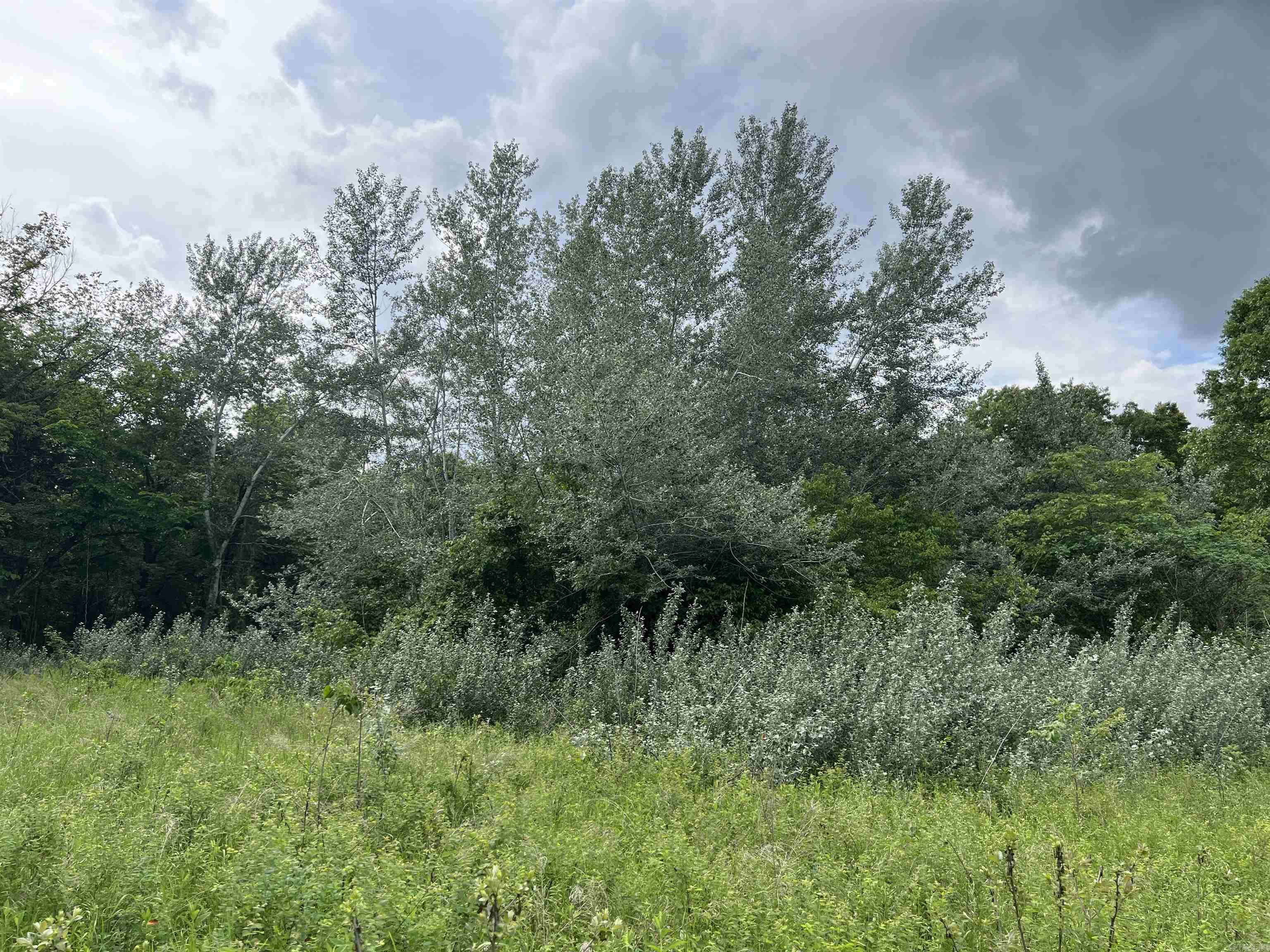   9.58 Acres on Meadow Creek  Harrison, AR