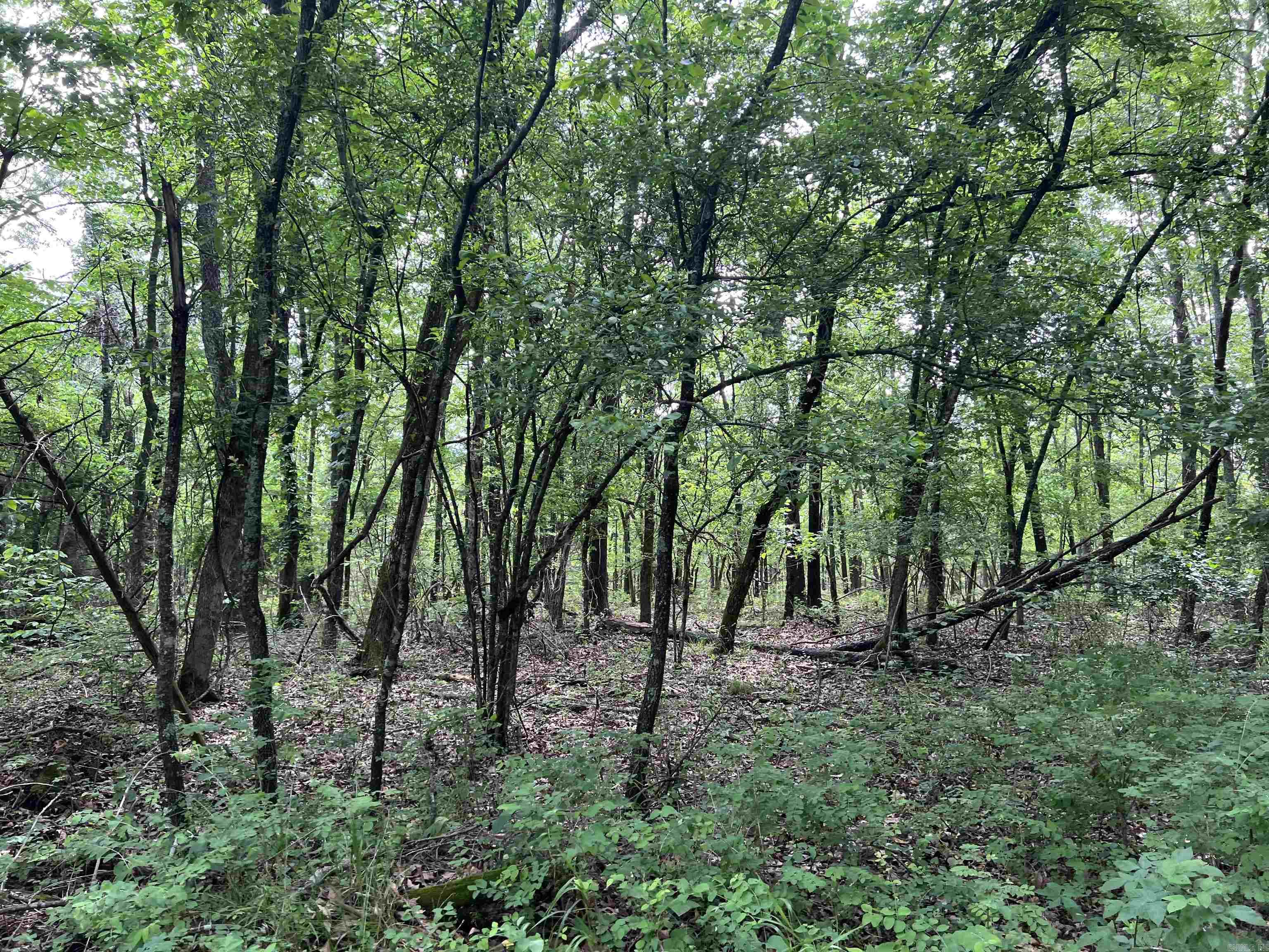   9.58 Acres on Meadow Creek  Harrison, AR