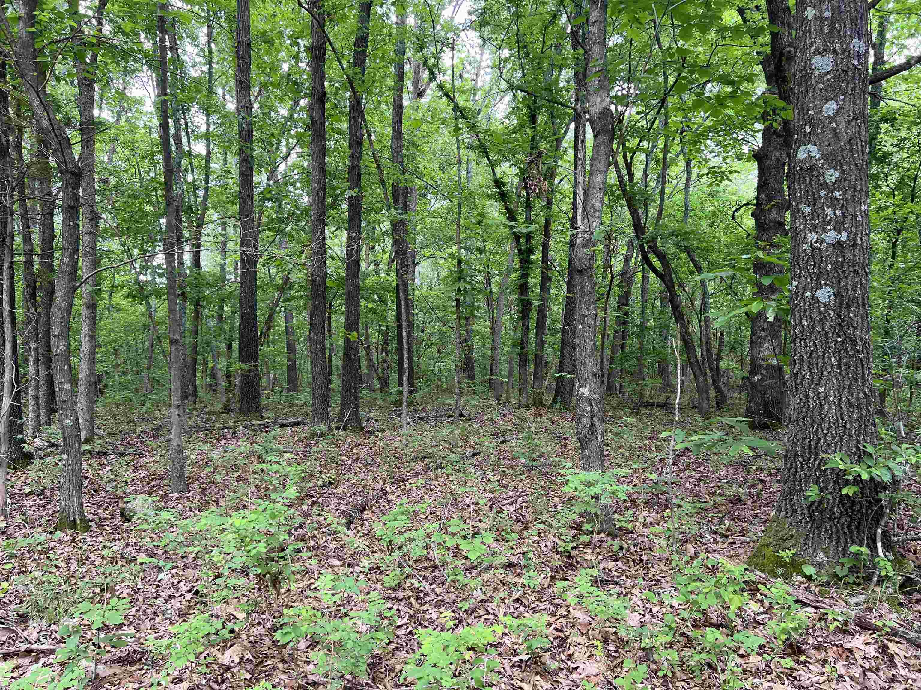   12 Acres on Meadow Creek  Harrison, AR