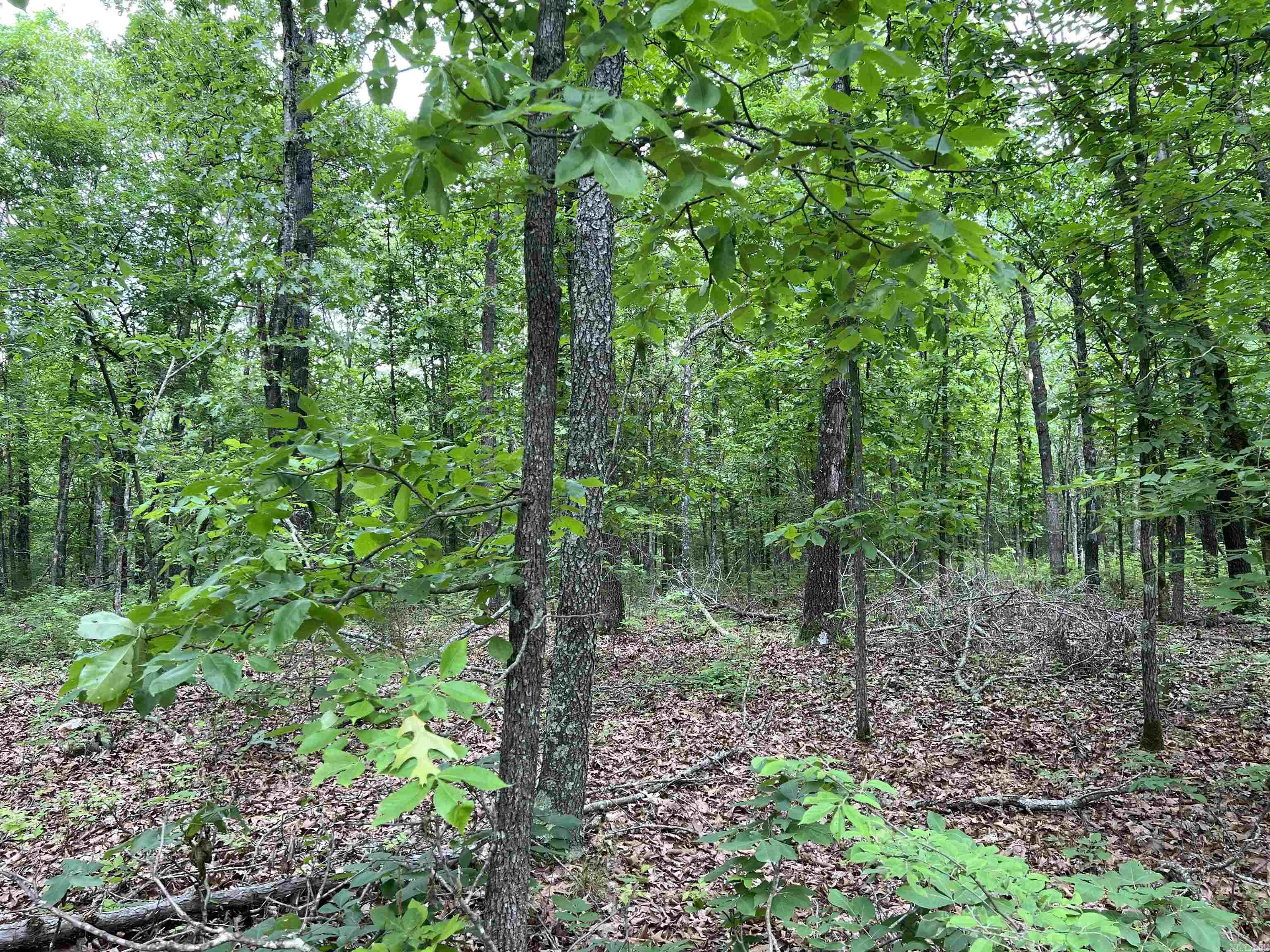   12 Acres on Meadow Creek  Harrison, AR