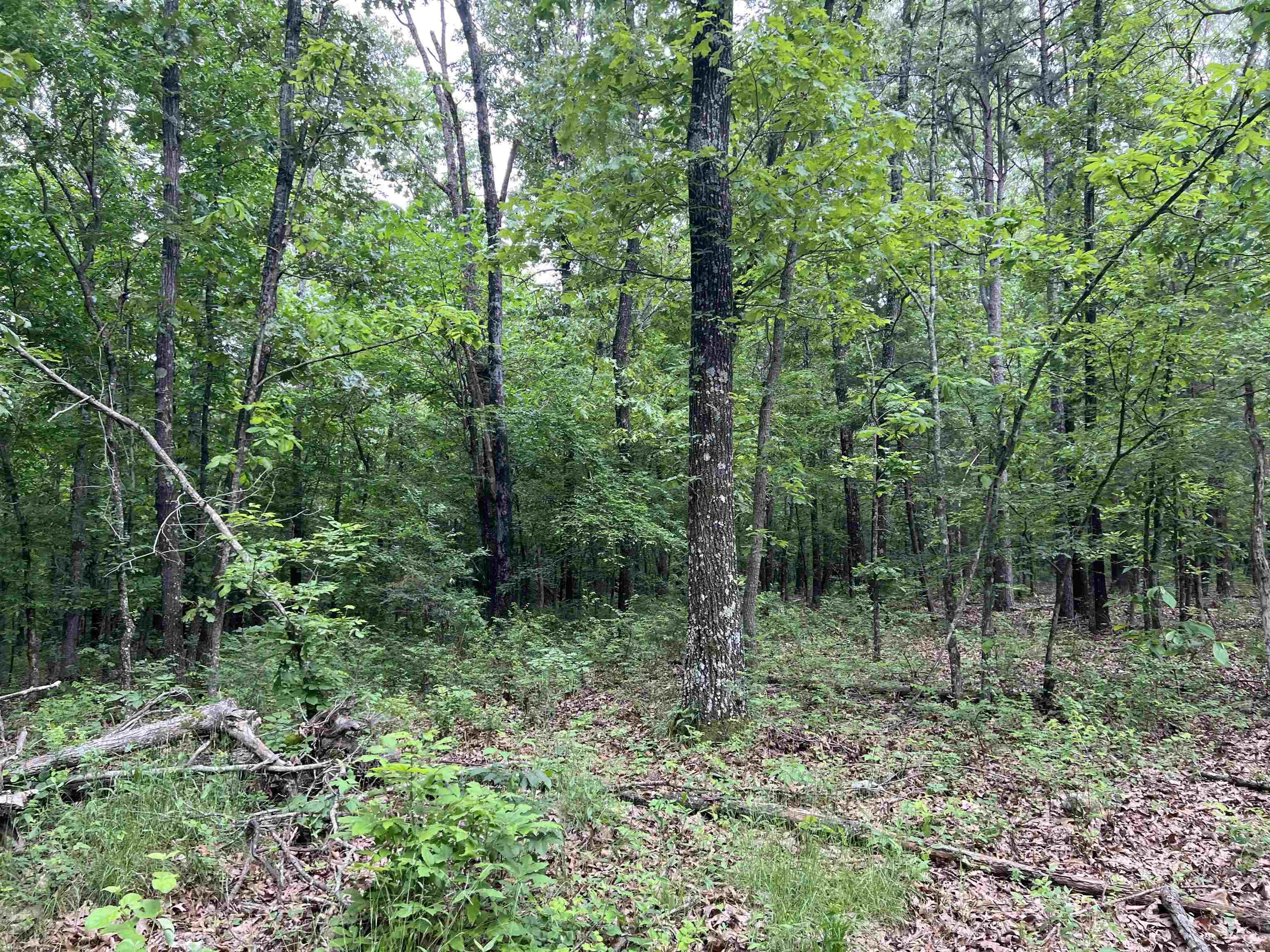   12 Acres on Meadow Creek  Harrison, AR