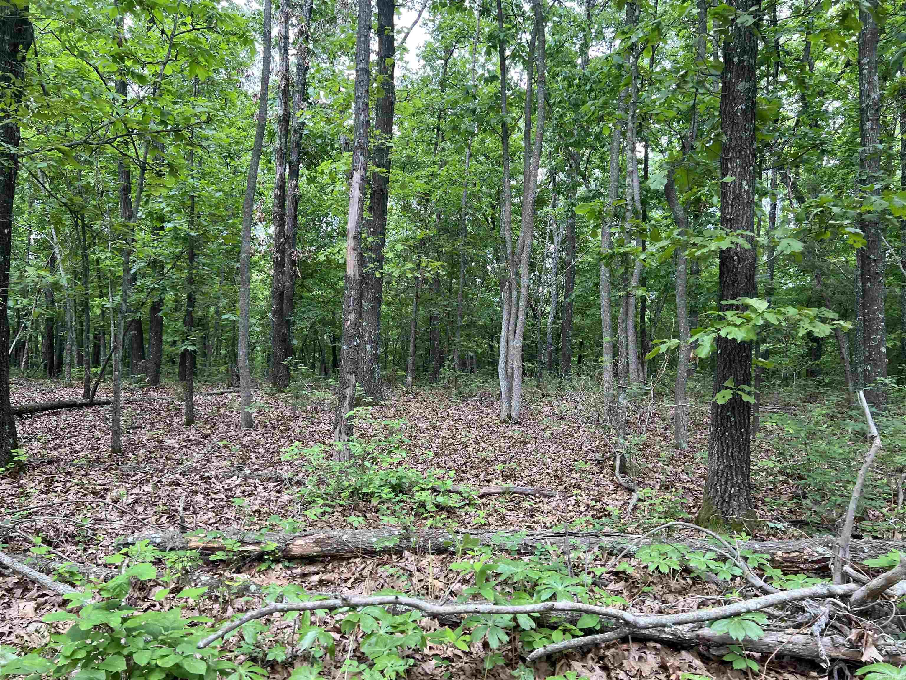   12 Acres on Meadow Creek  Harrison, AR