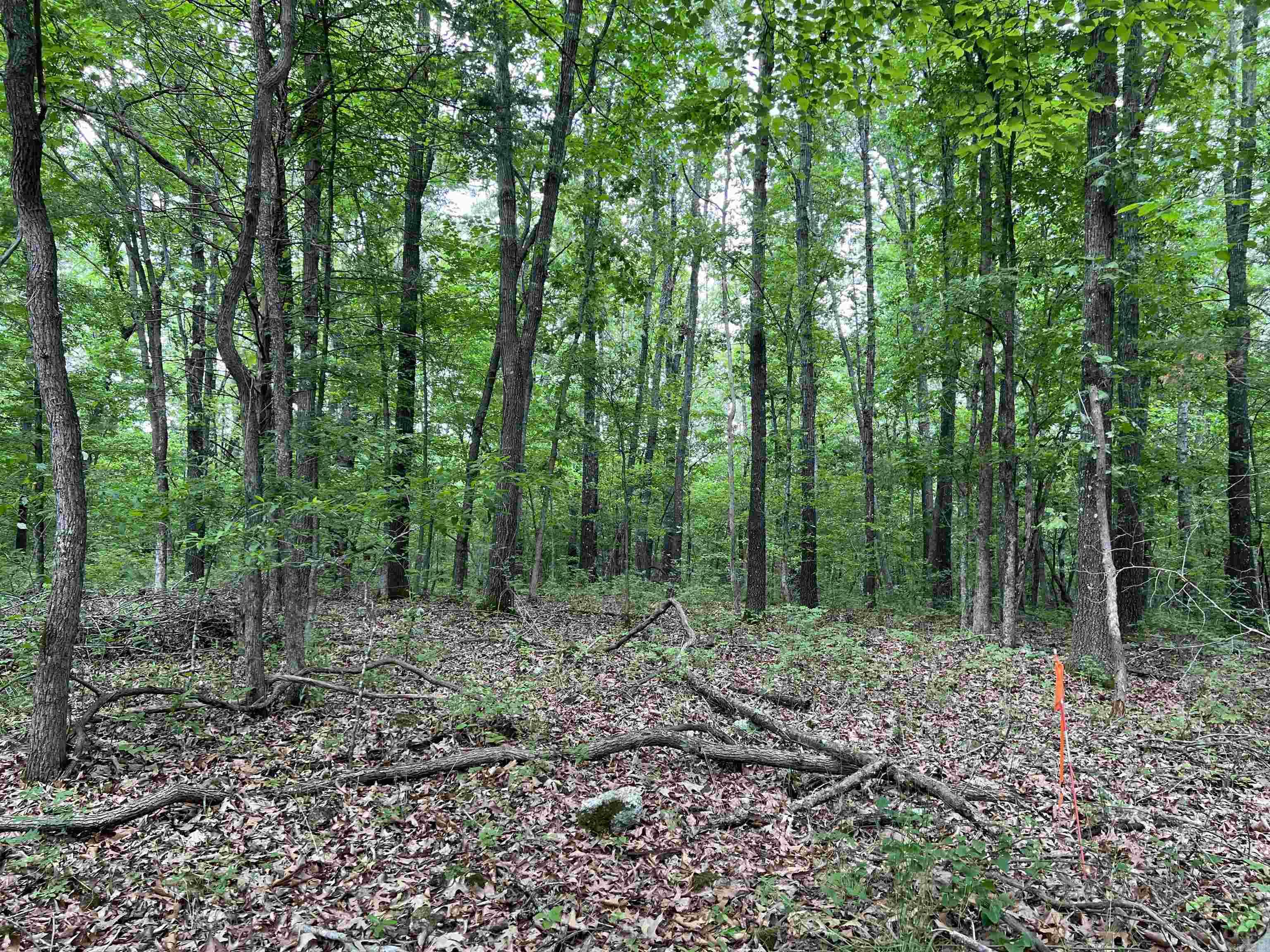   12 Acres on Meadow Creek  Harrison, AR