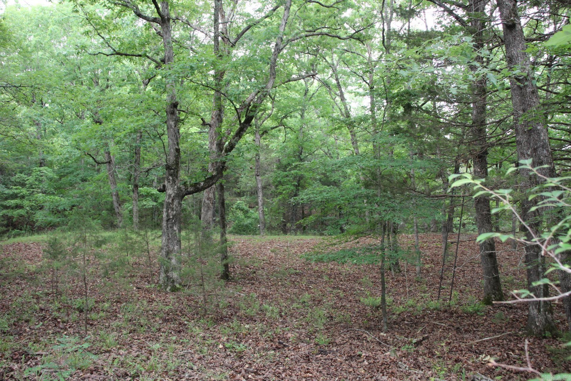 001-05594-000  MC 8012  Yellville, AR
