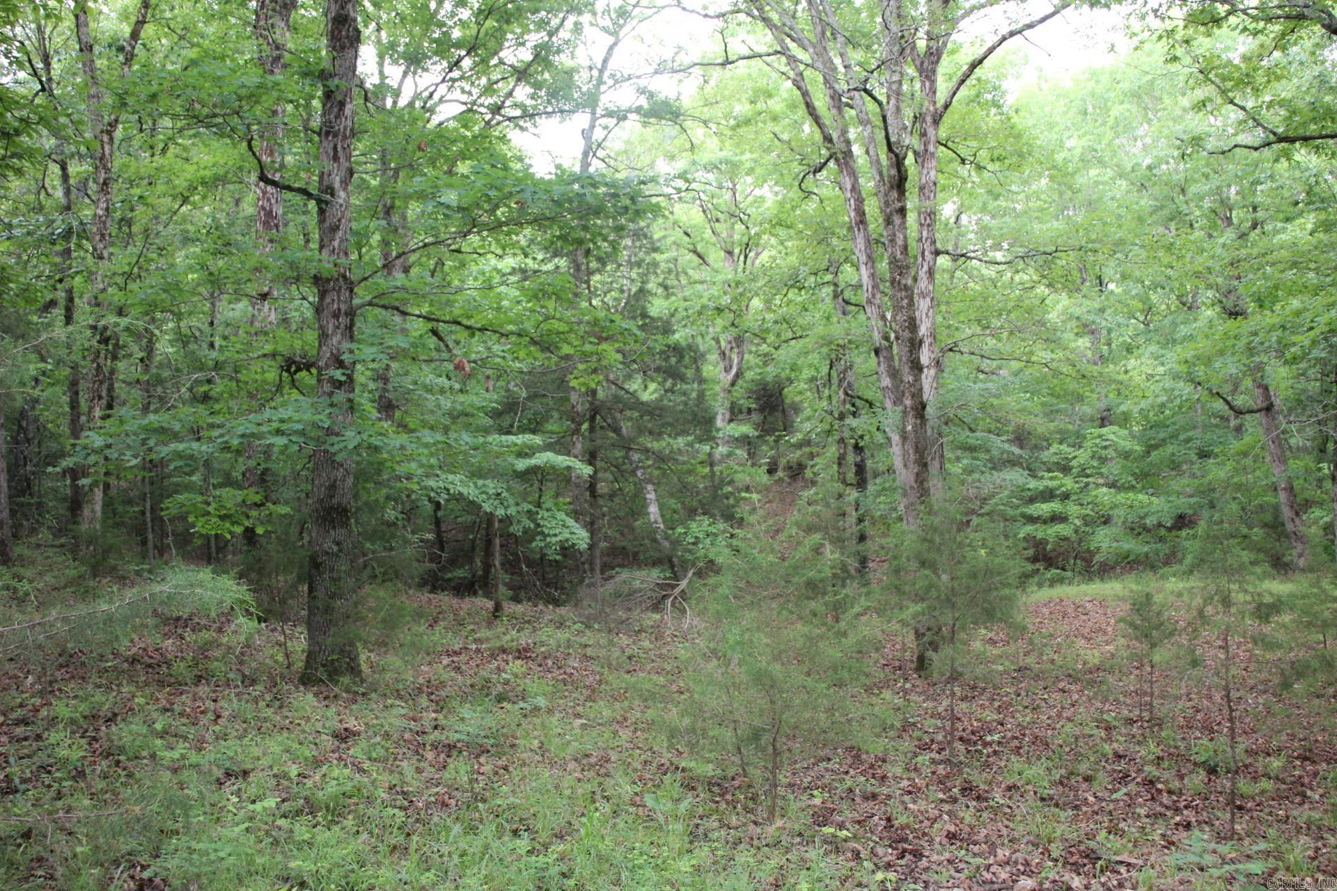 001-05594-000  MC 8012  Yellville, AR