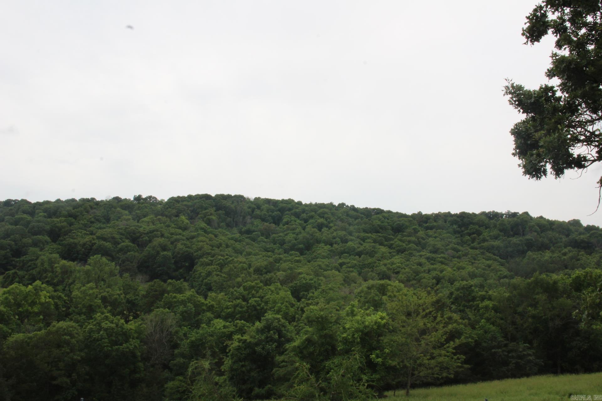 001-05594-000  MC 8012  Yellville, AR