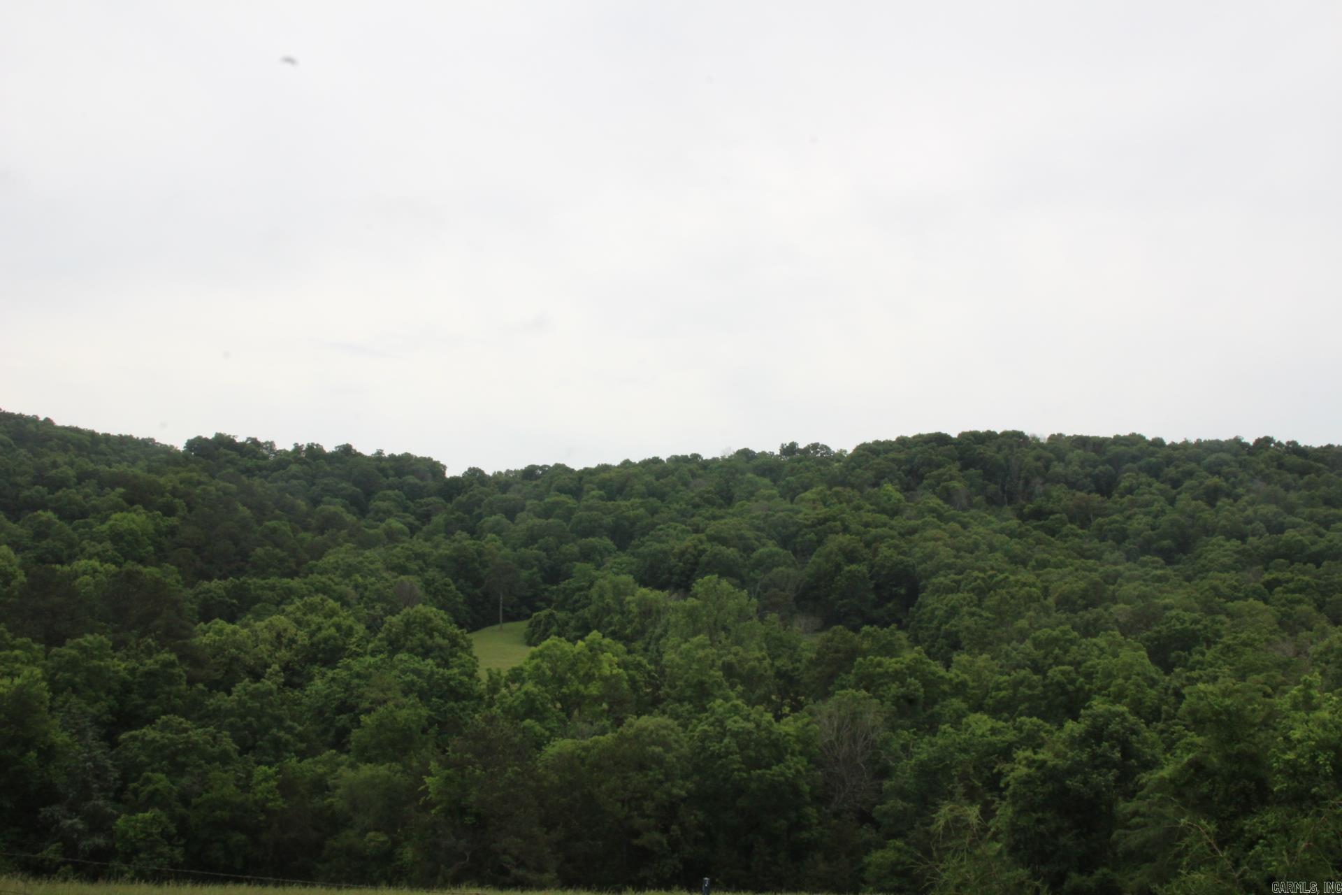 001-05594-000  MC 8012  Yellville, AR