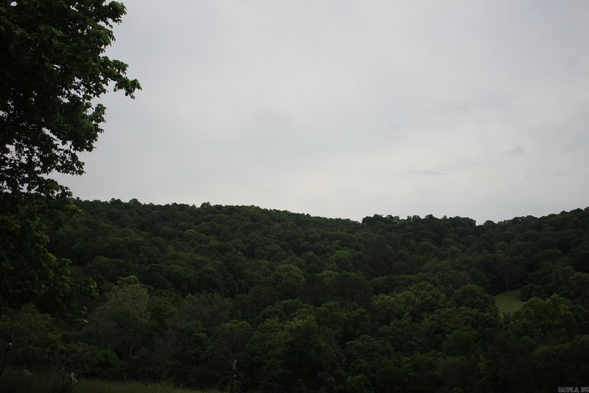 001-05594-000  MC 8012  Yellville, AR
