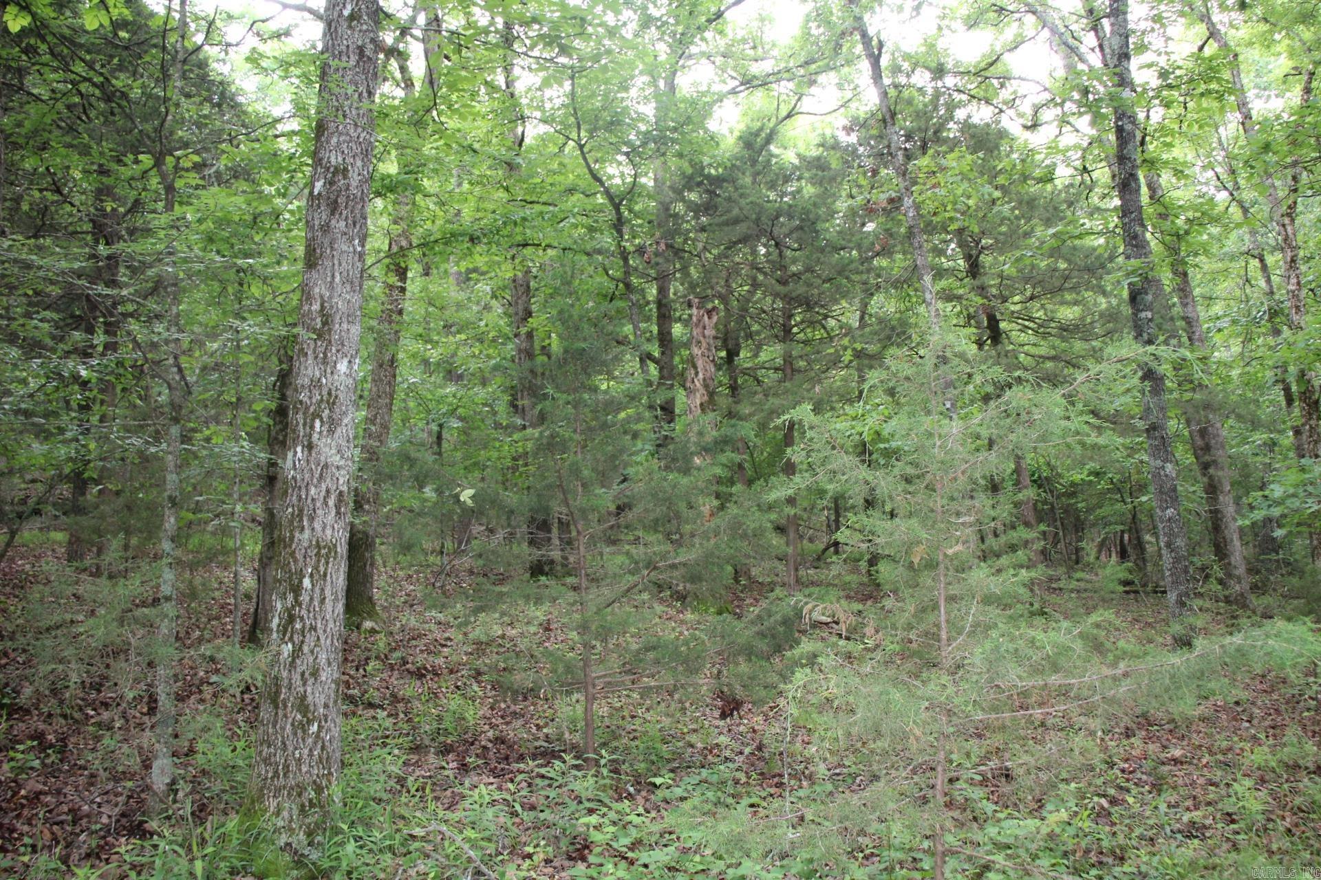 001-05594-000  MC 8012  Yellville, AR