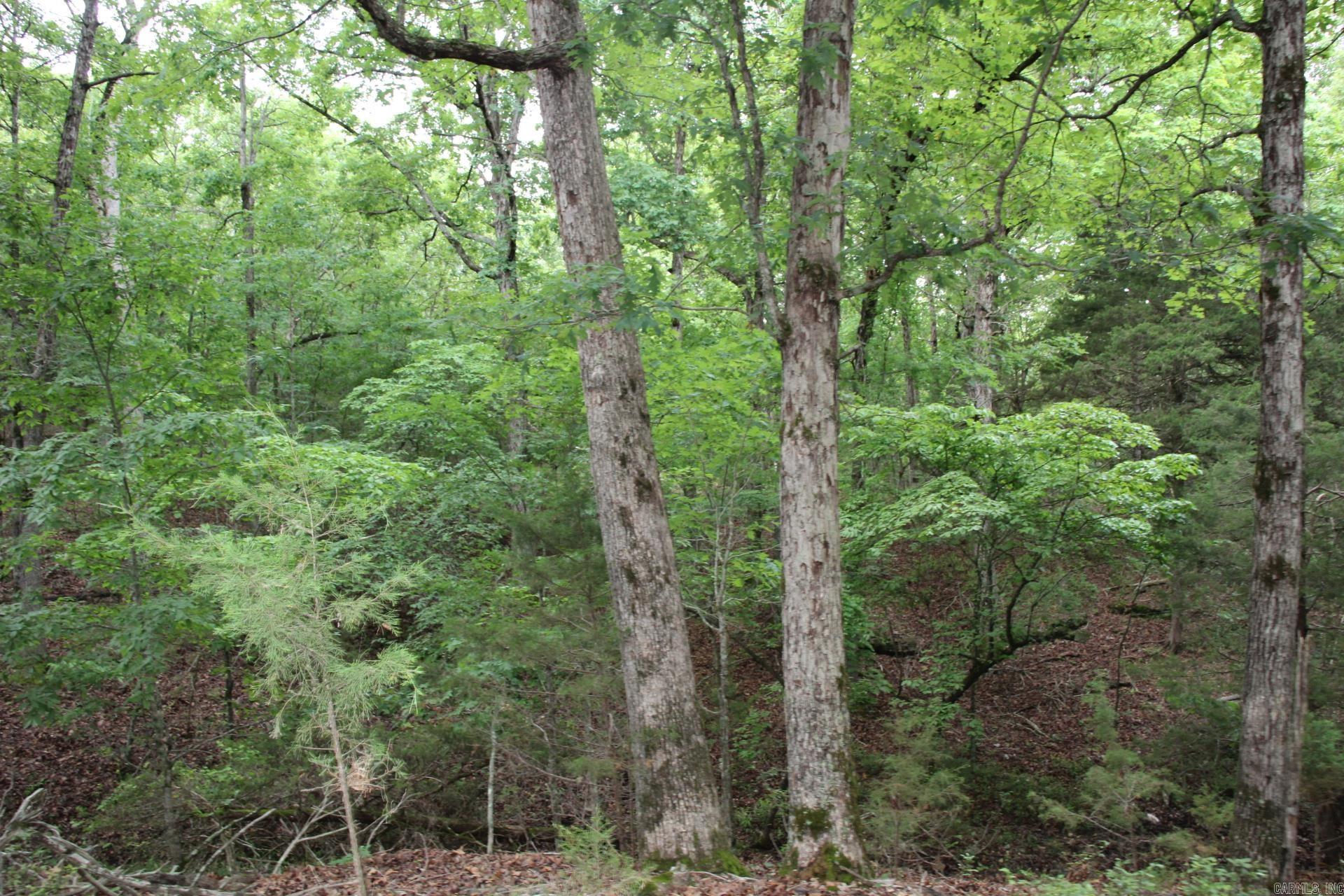 001-05594-000  MC 8012  Yellville, AR