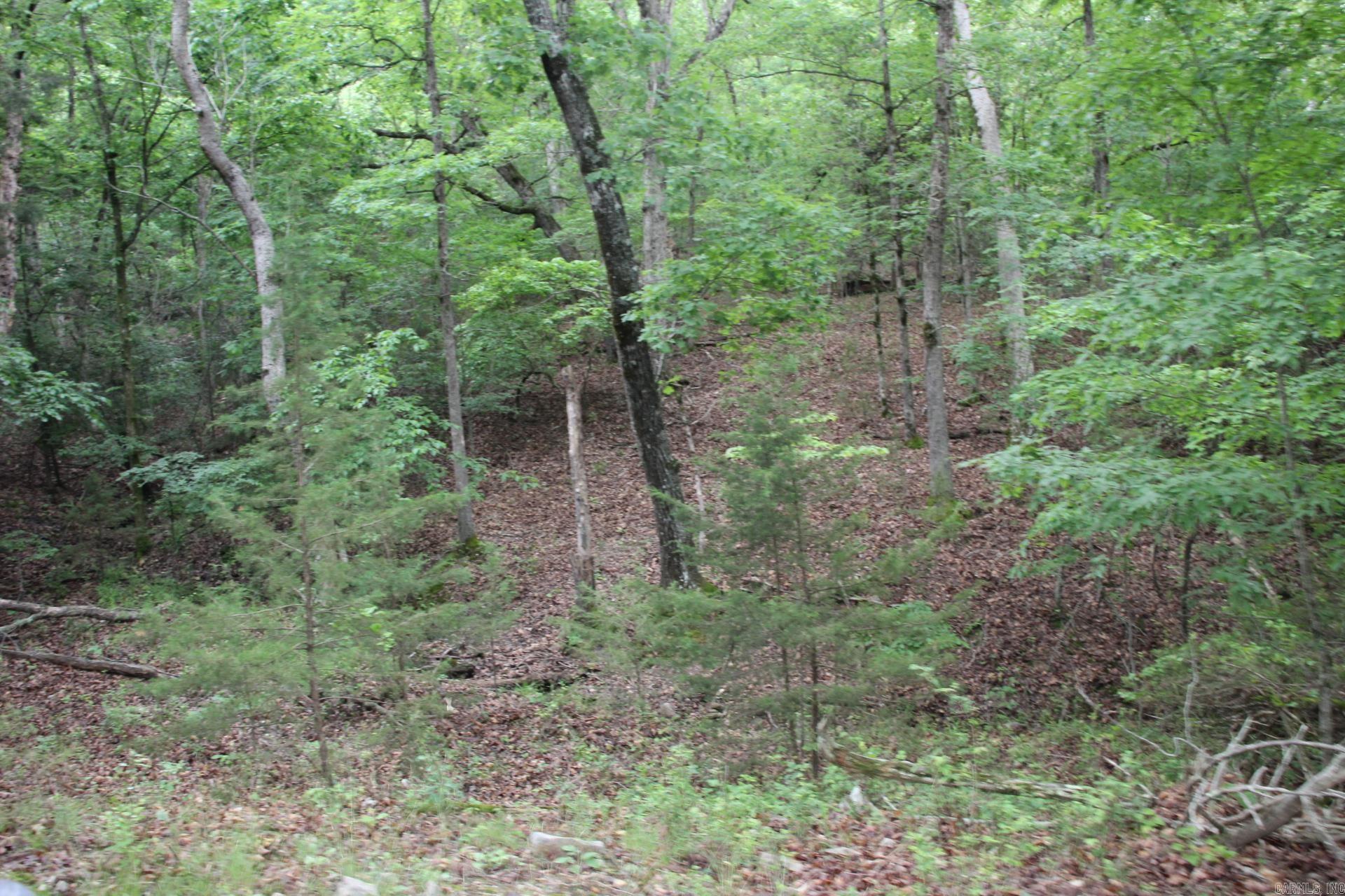 001-05594-000  MC 8012  Yellville, AR
