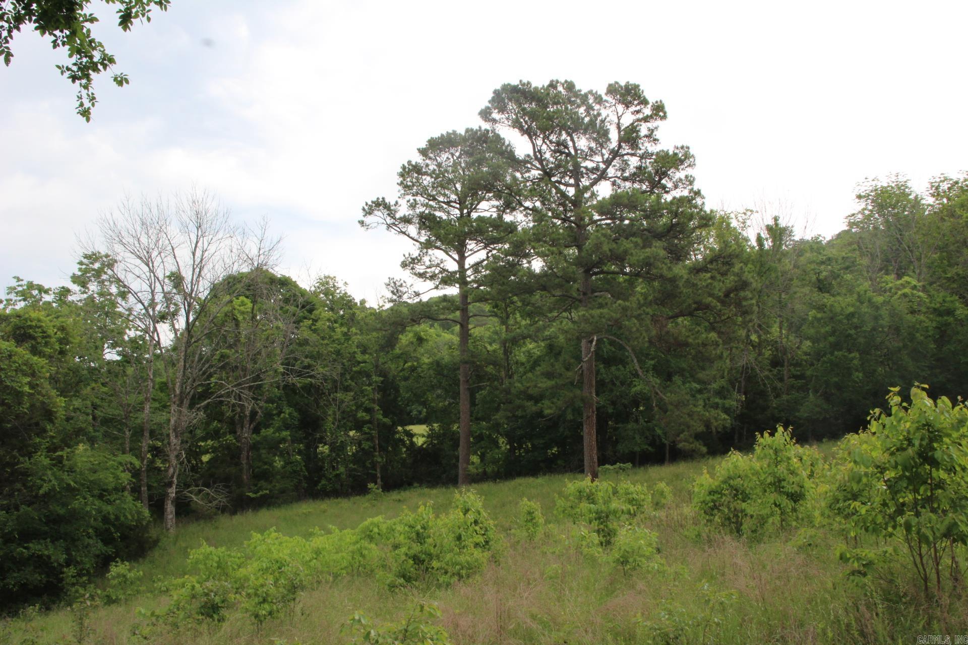 001-05594-000  MC 8012  Yellville, AR