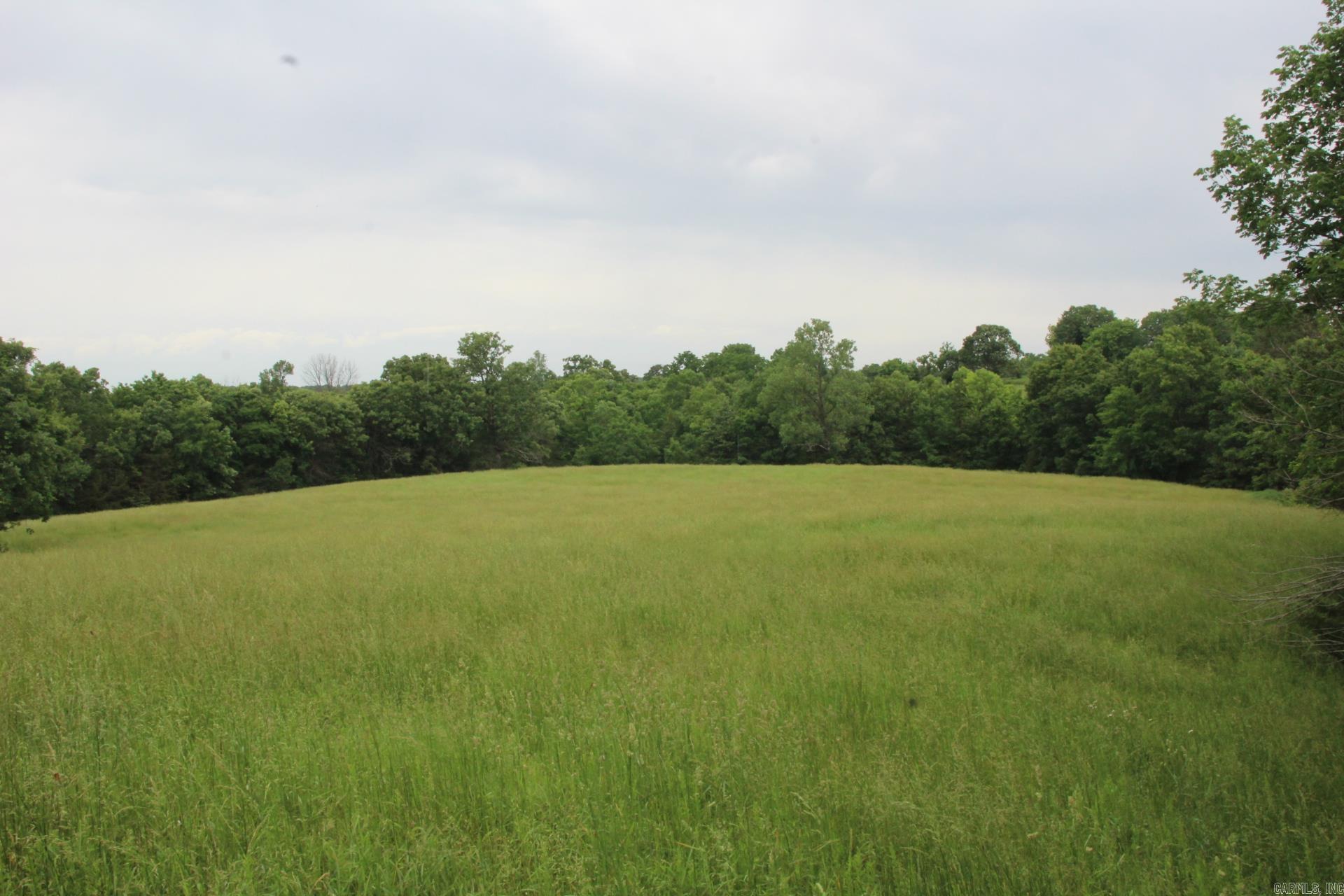 001-05594-000  MC 8012  Yellville, AR