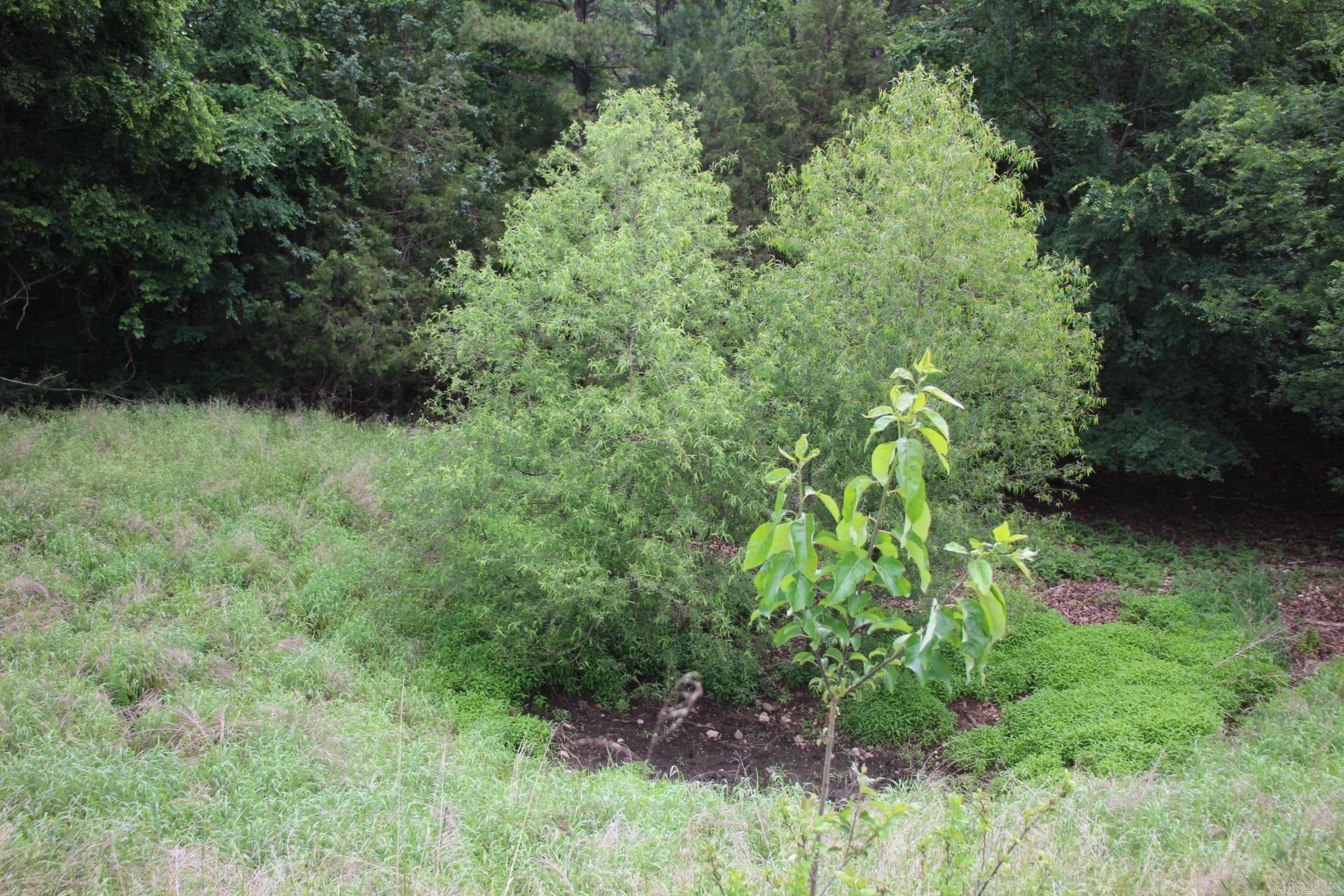 001-05594-000  MC 8012  Yellville, AR