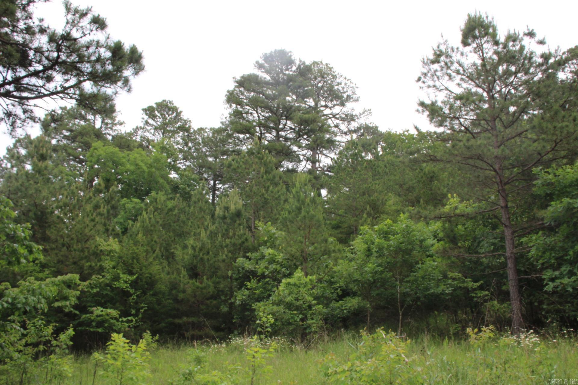 001-05594-000  MC 8012  Yellville, AR