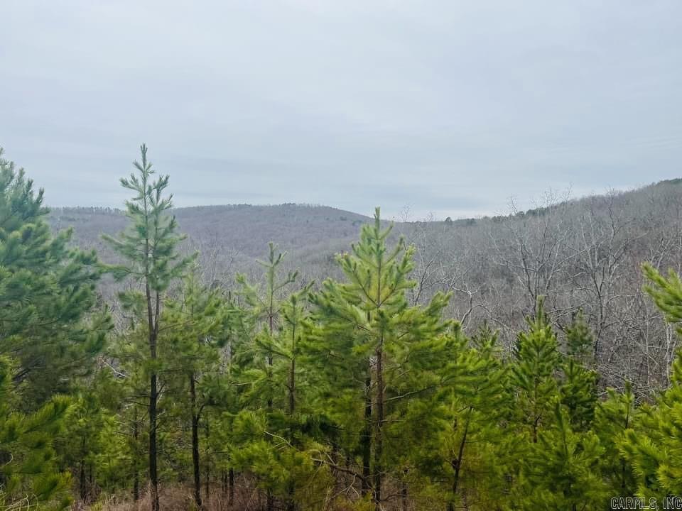  Dodd Mountain Road  Clinton, AR