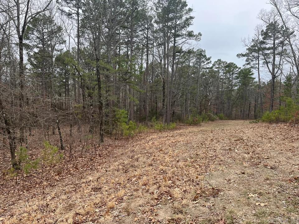   Dodd Mountain Road  Clinton, AR