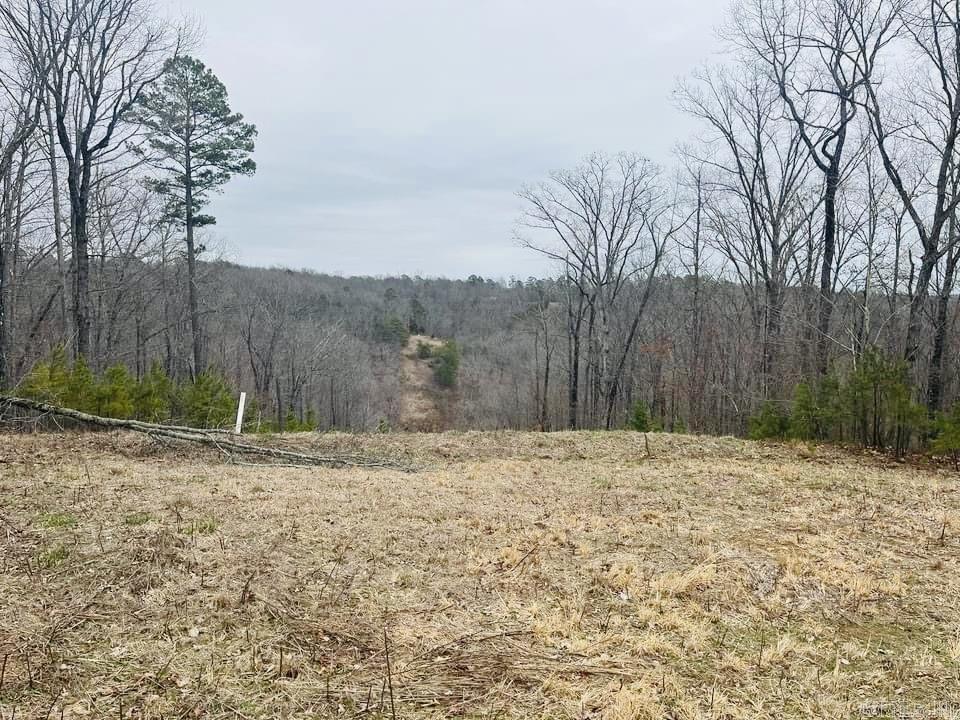   Dodd Mountain Road  Clinton, AR