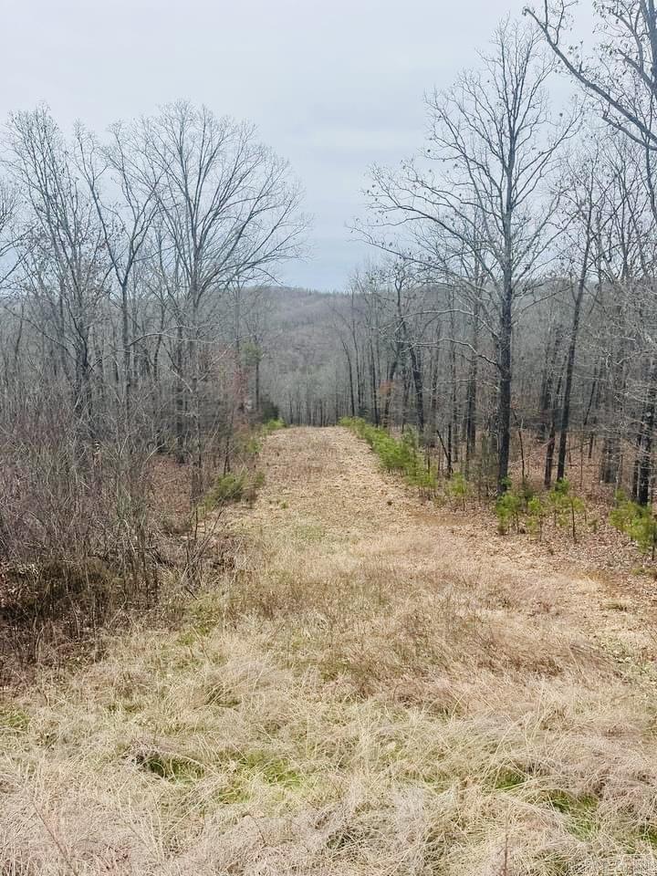   Dodd Mountain Road  Clinton, AR
