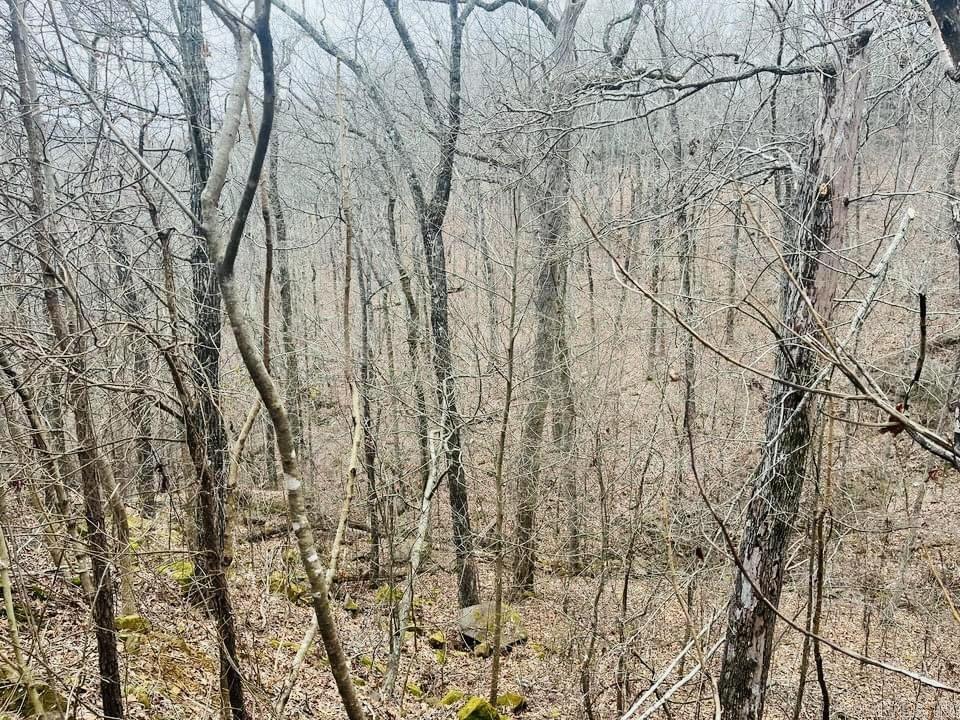   Dodd Mountain Road  Clinton, AR