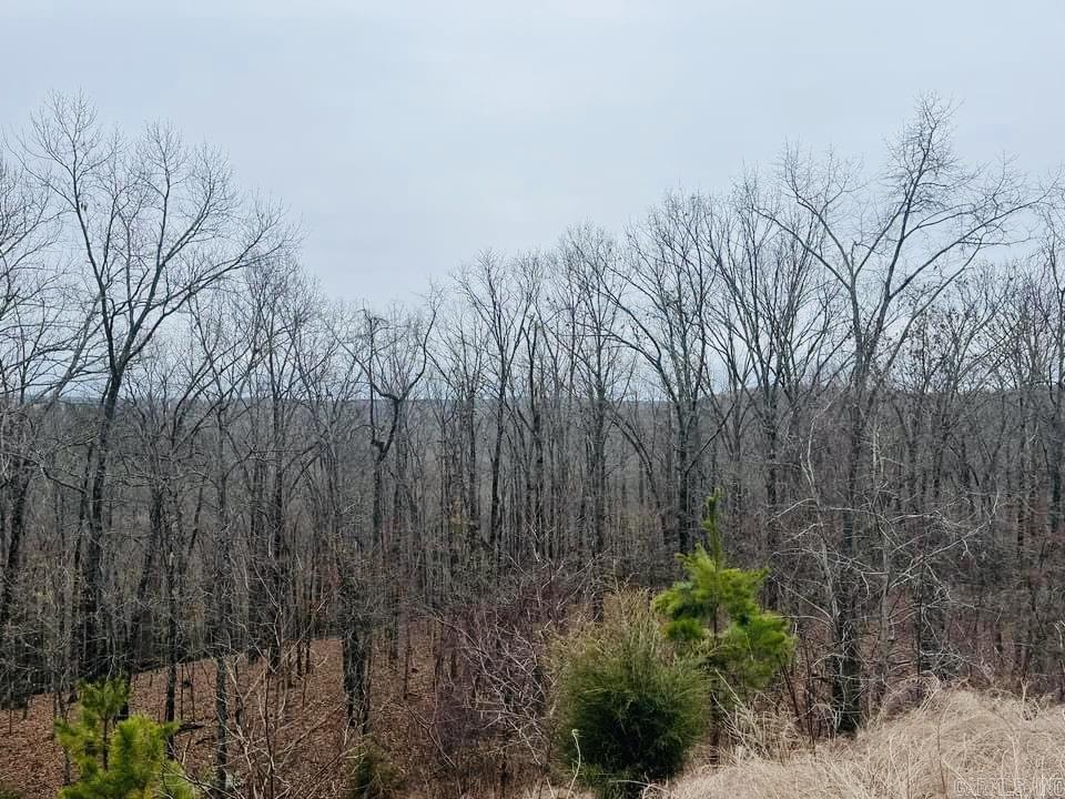   Dodd Mountain Road  Clinton, AR