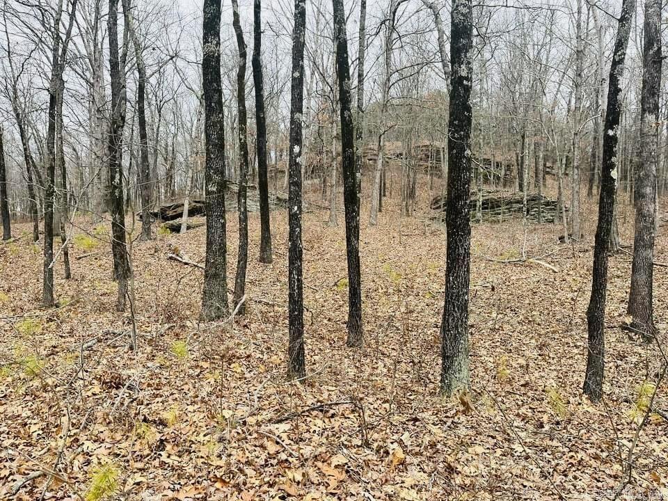   Dodd Mountain Road  Clinton, AR