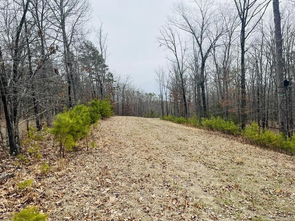   Dodd Mountain Road  Clinton, AR