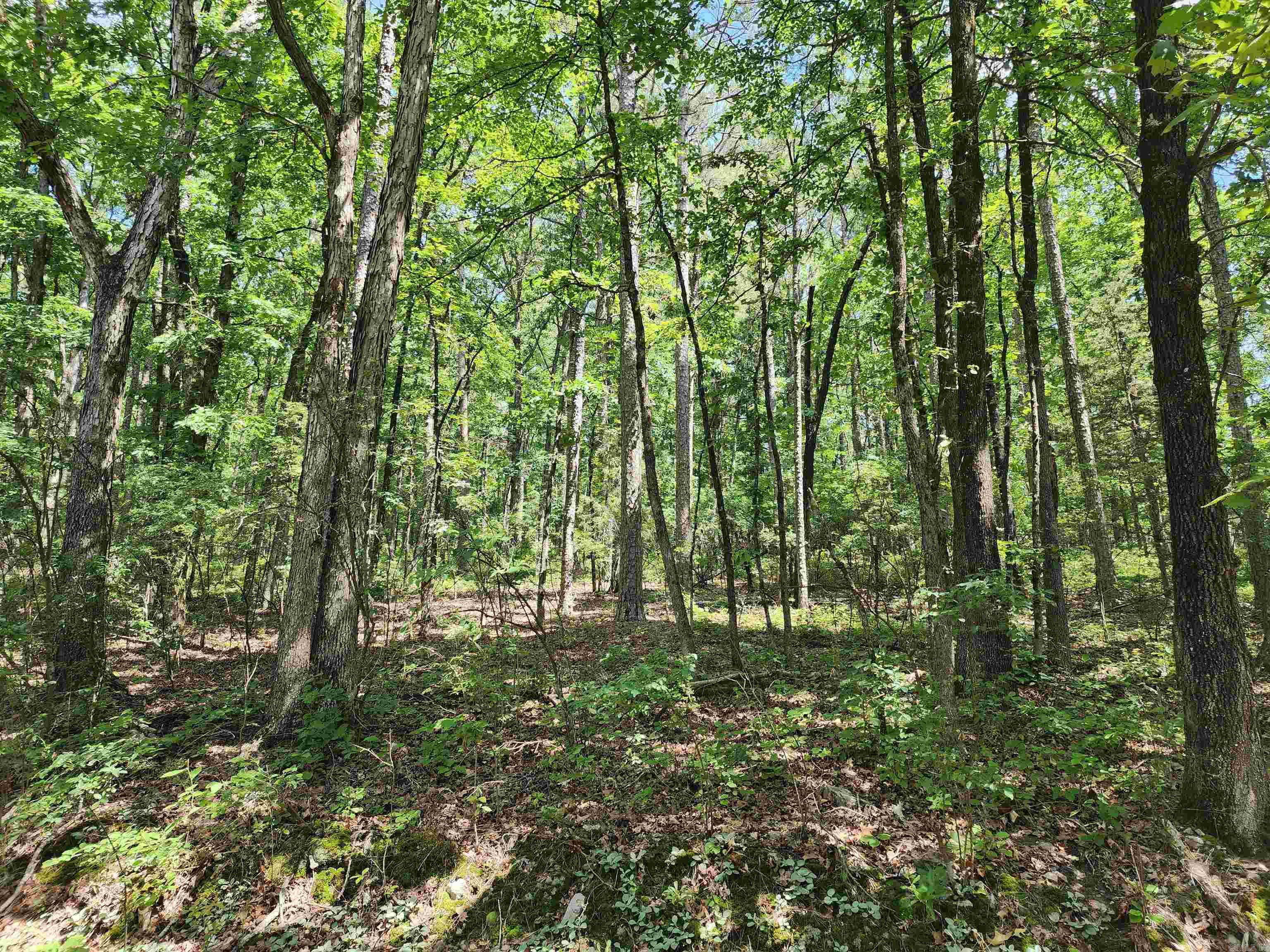 12  Belmonte  Hot Springs Village, AR