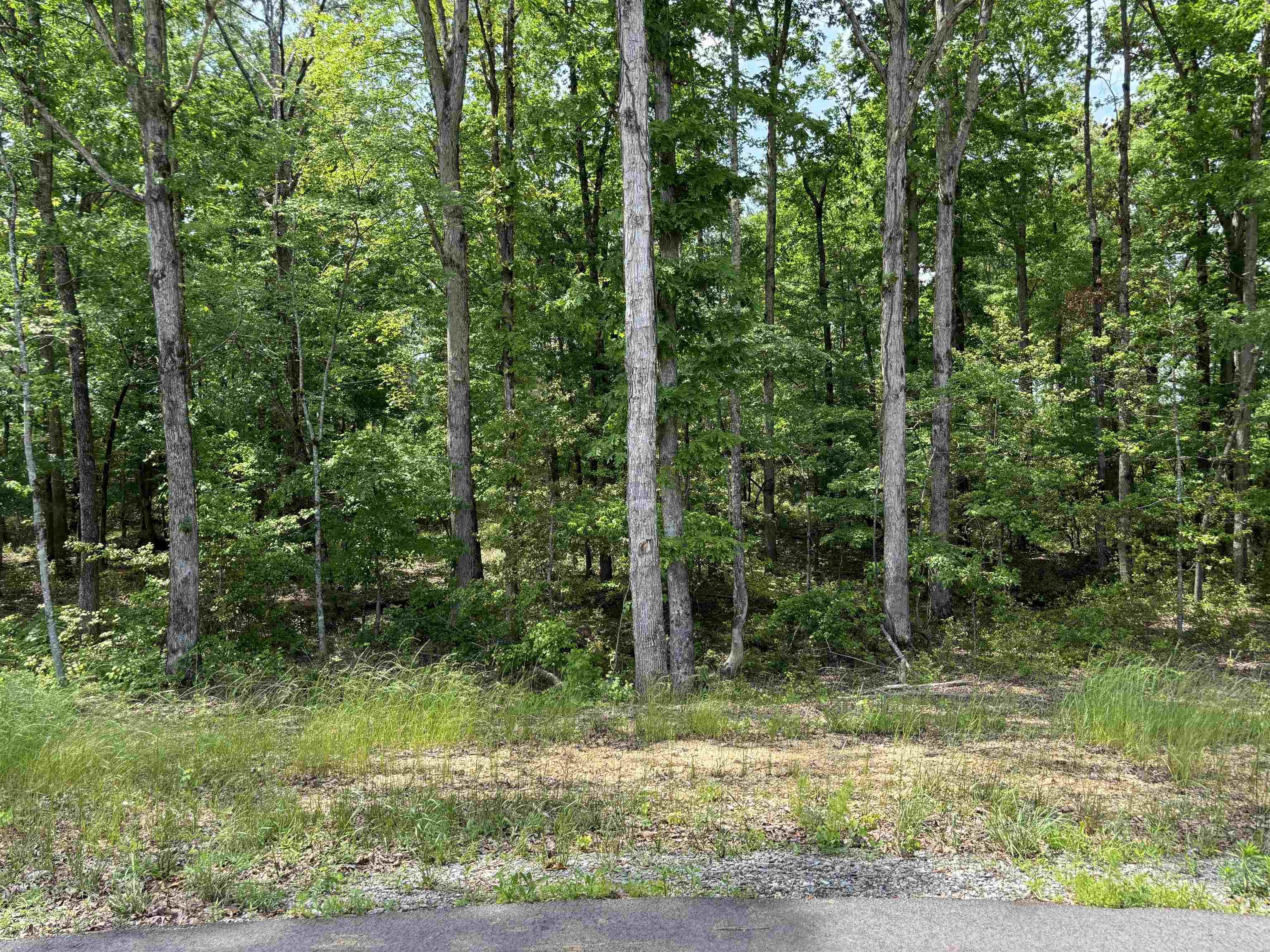 lot 23  Grant County Road 763  Sheridan, AR