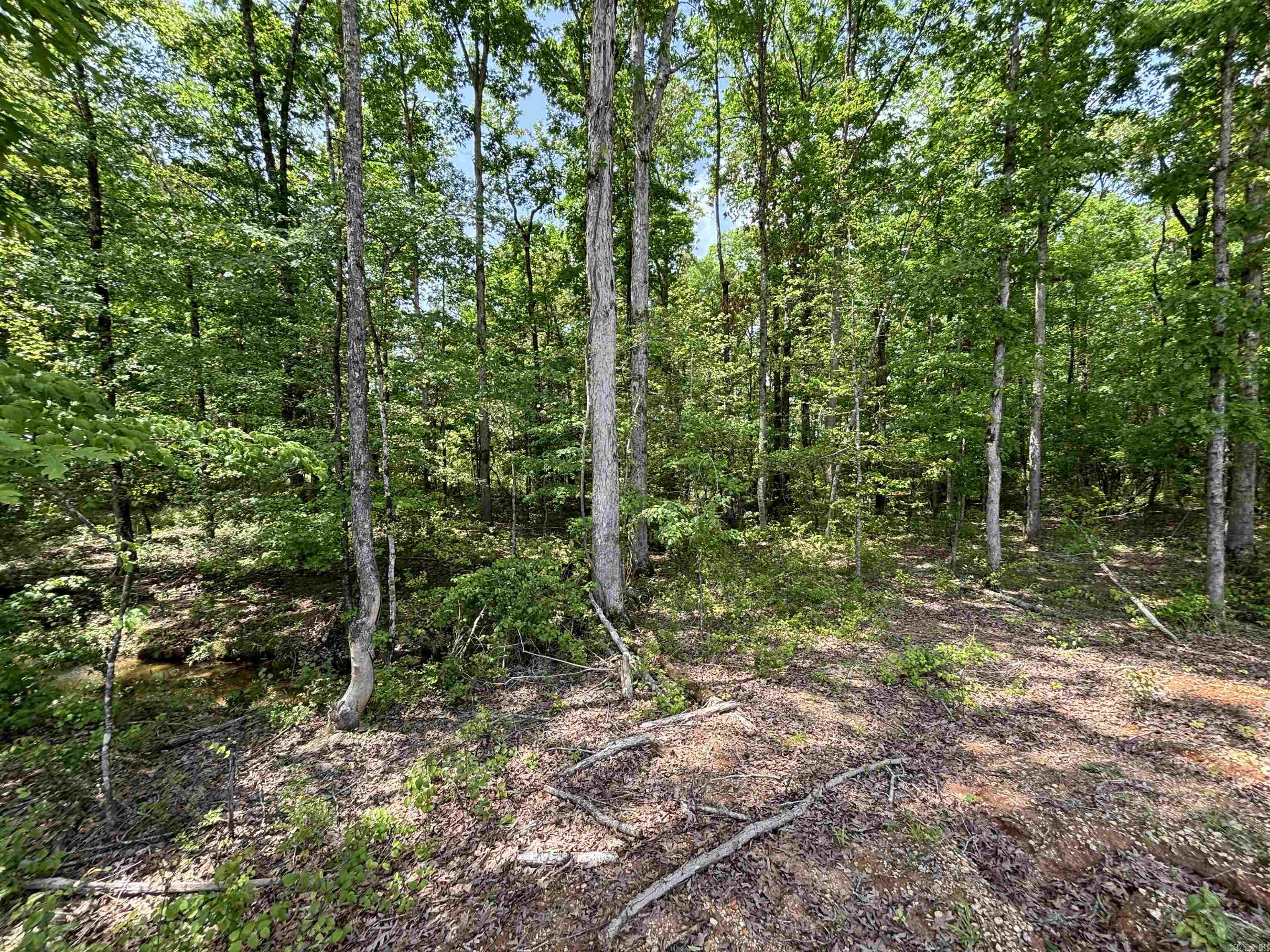 lot 23  Grant County Road 763  Sheridan, AR