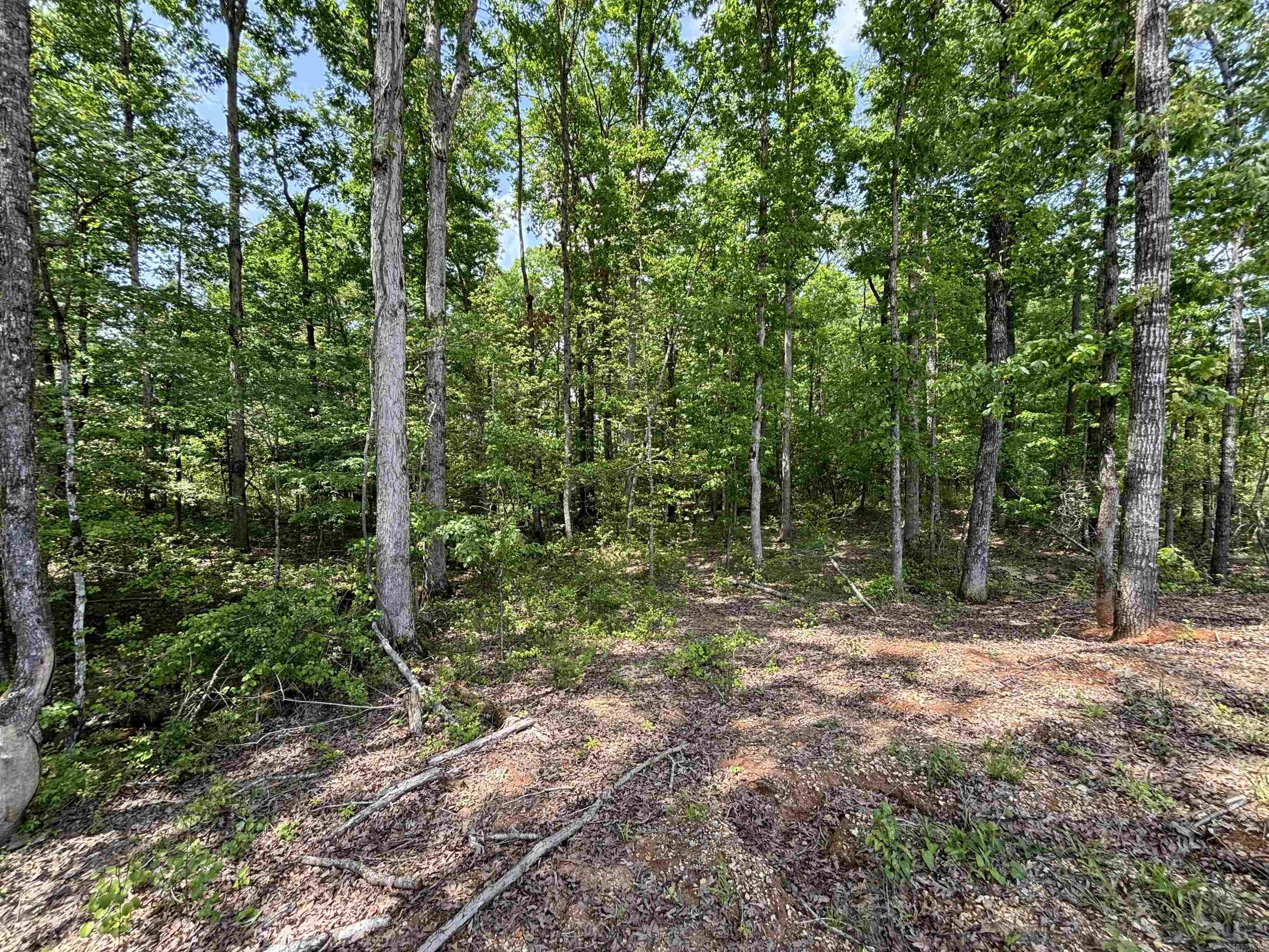 lot 23  Grant County Road 763  Sheridan, AR