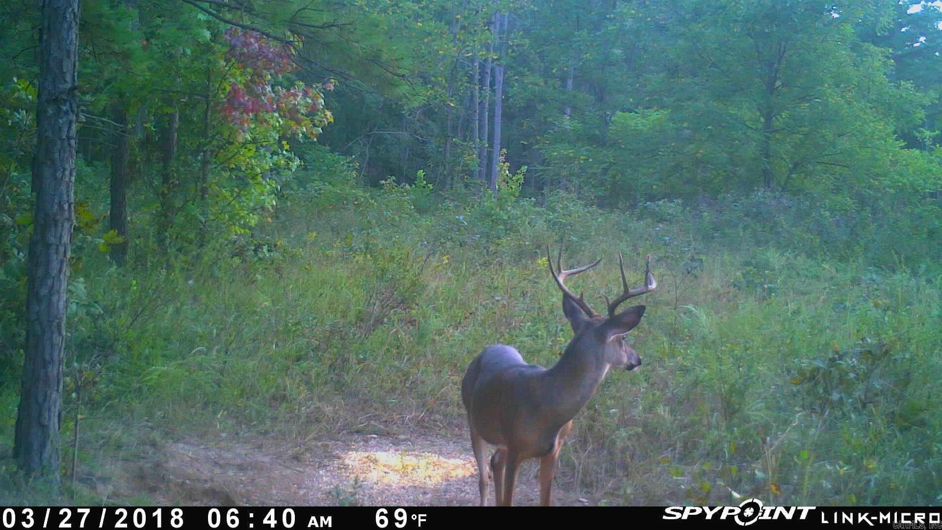 NC  4860  Bass, AR