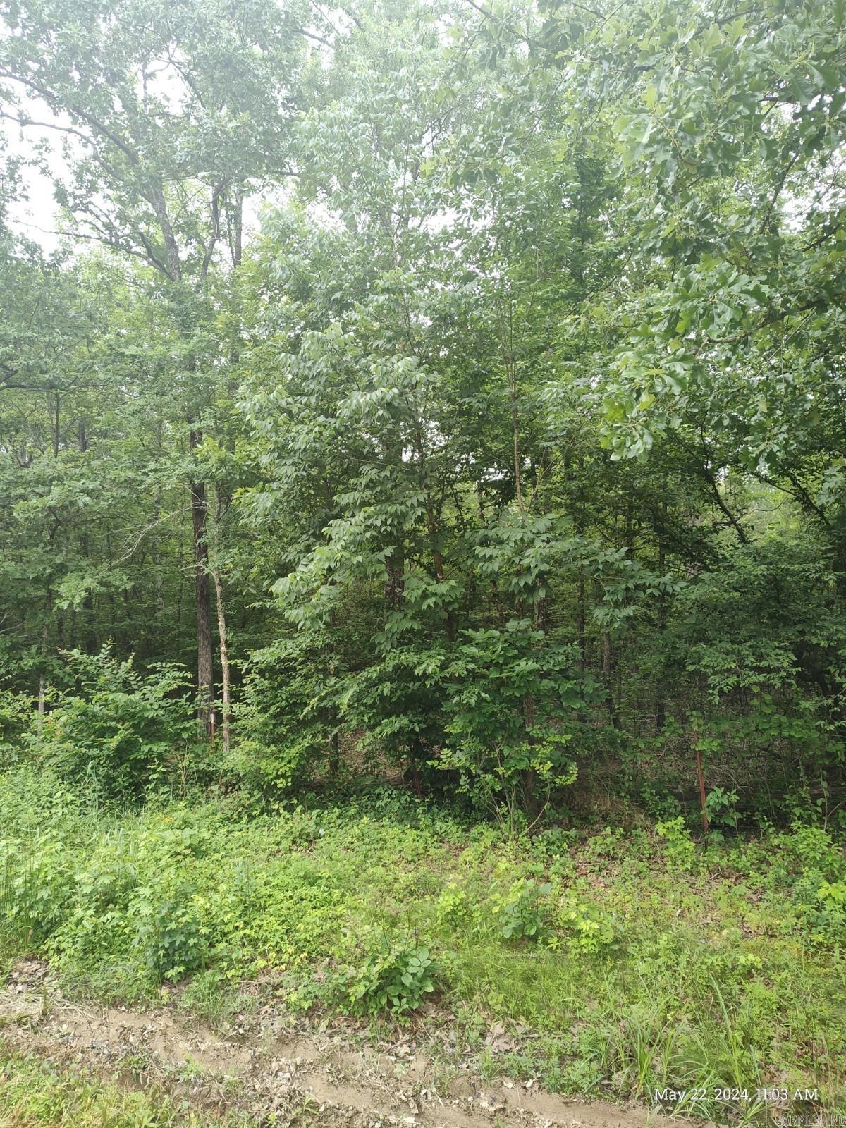 46001  HIGHWAY 10  Perryville, AR