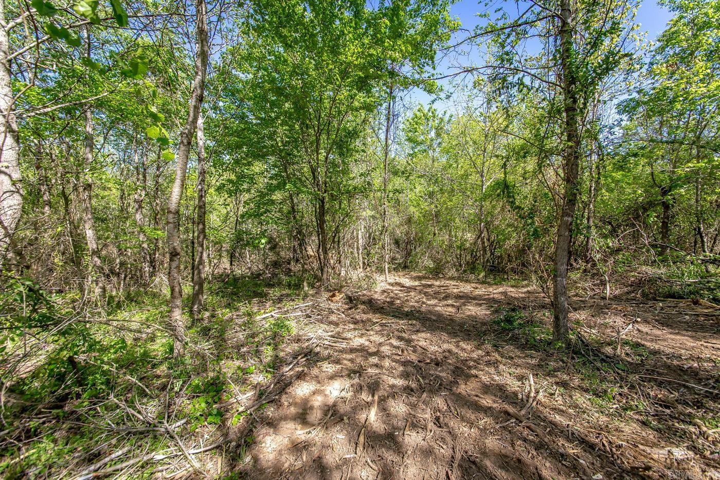 00  Buena Vista  Clinton, AR
