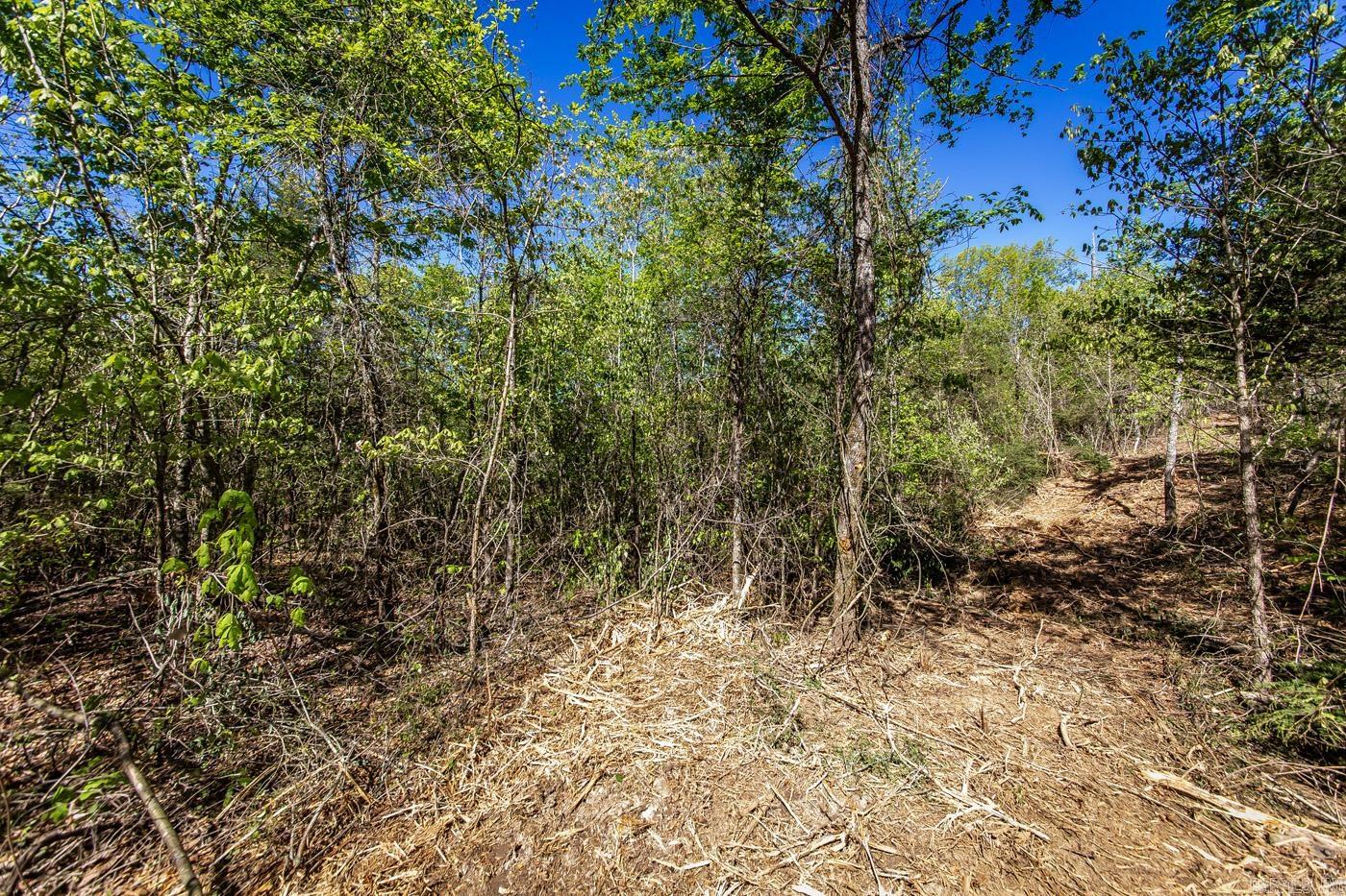 00  Buena Vista  Clinton, AR