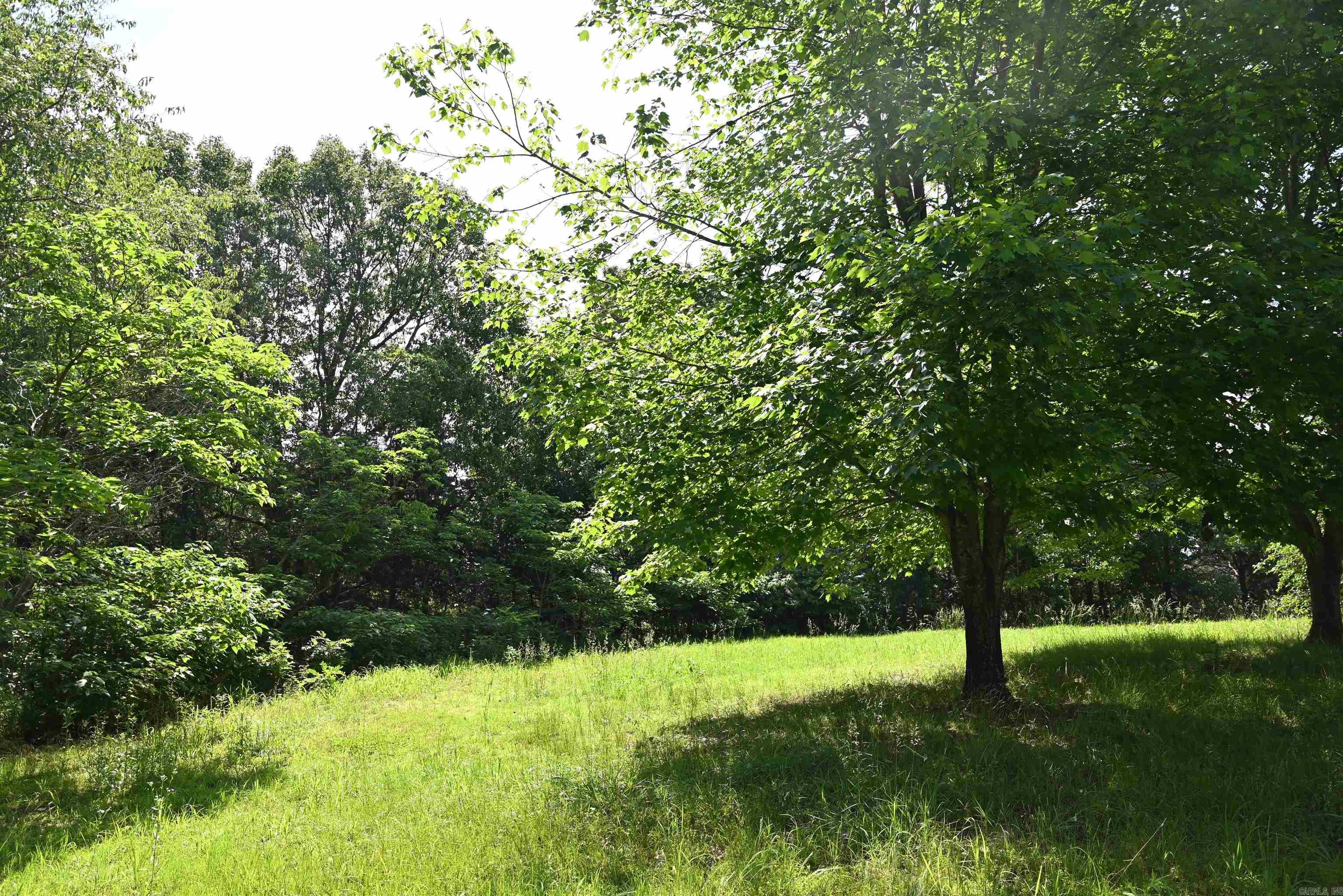 233 PINEY Marshall, AR 72650