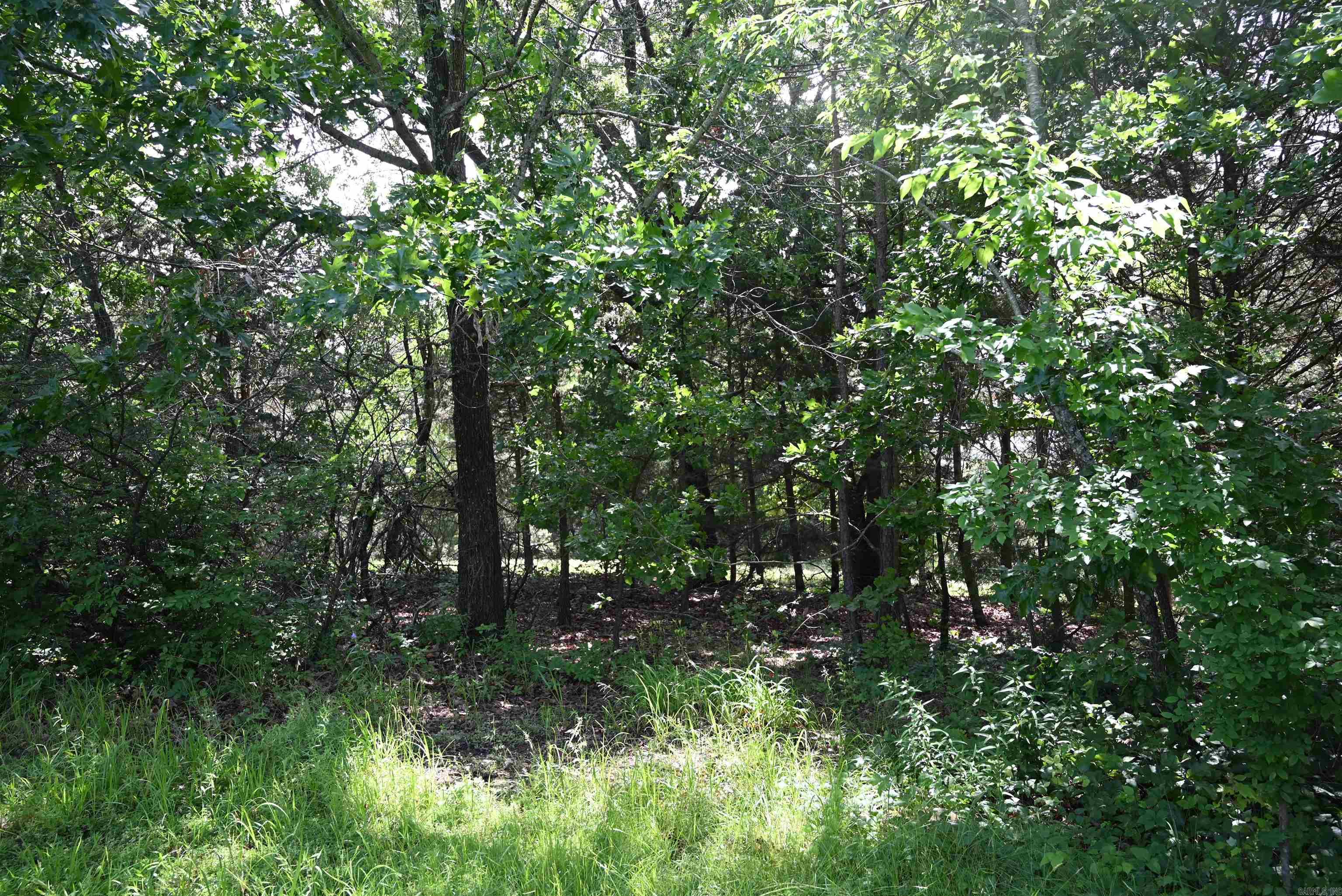 233 PINEY Marshall, AR 72650