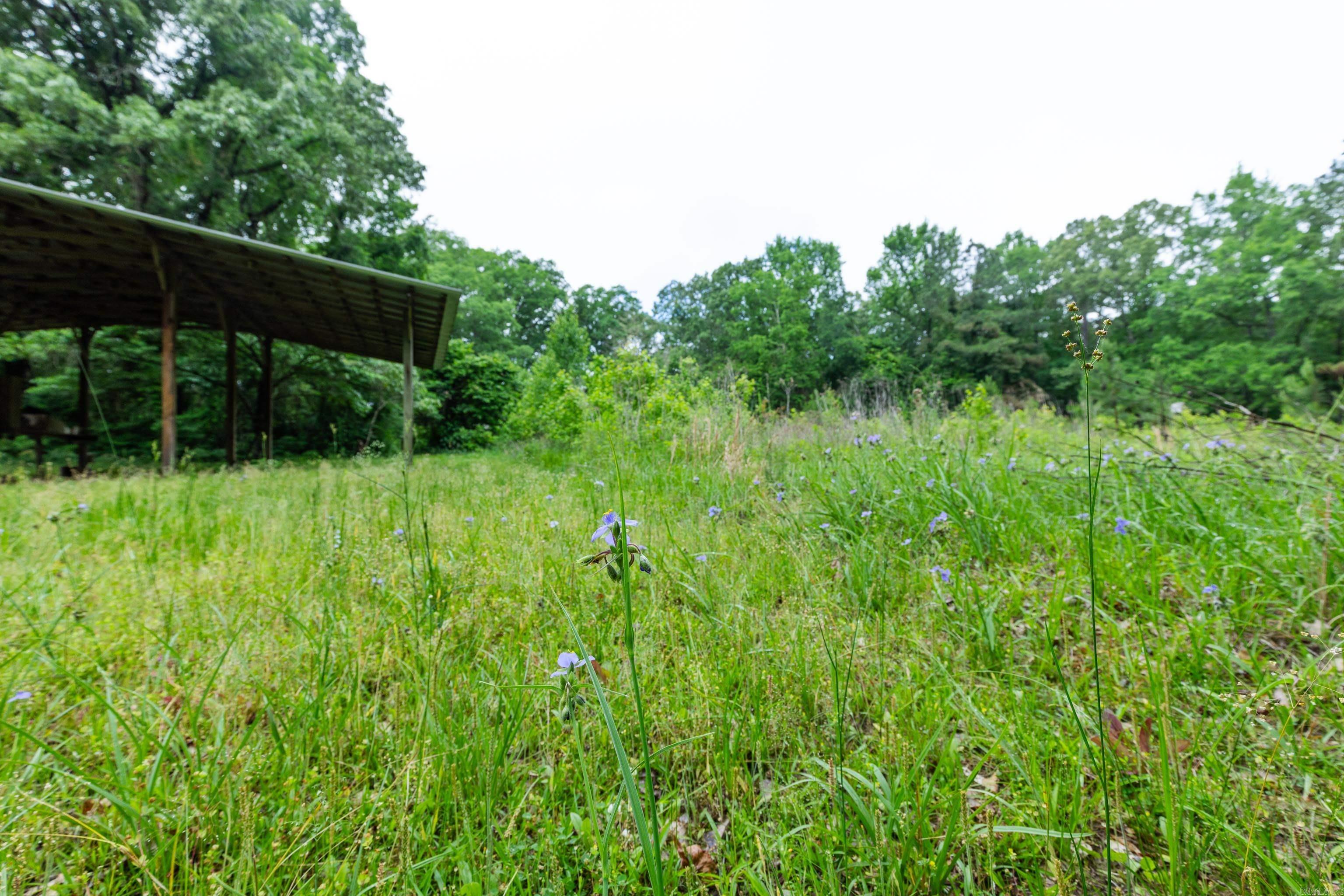 2105  HWY 104  White Hall, AR