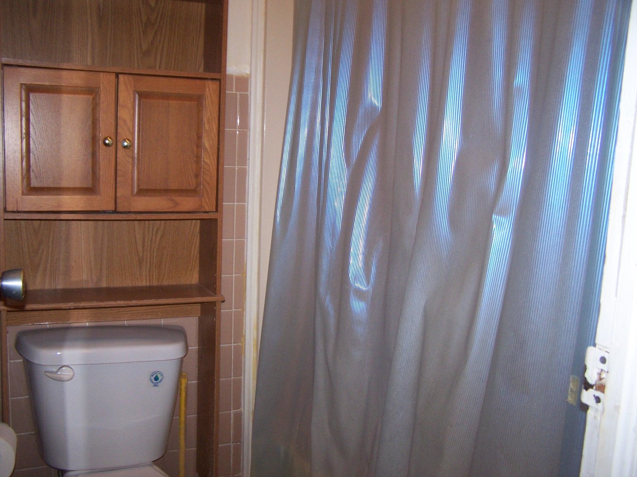 250 S 12th St  Mammoth Spring, AR