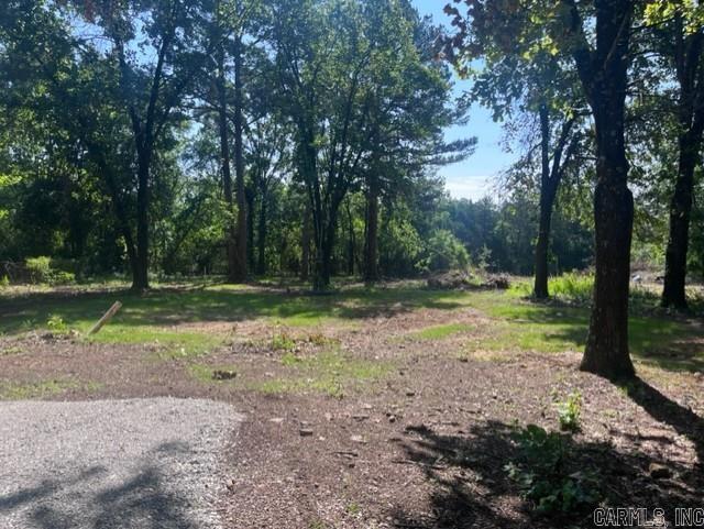 603  Alamo  Mountain View, AR