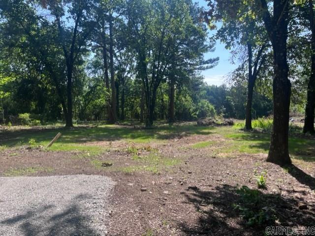 603  Alamo  Mountain View, AR
