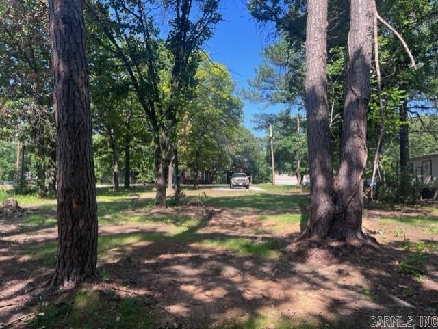 603  Alamo  Mountain View, AR
