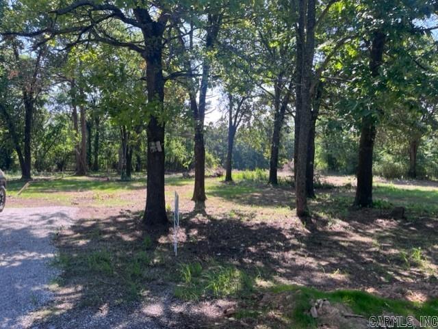 603  Alamo  Mountain View, AR