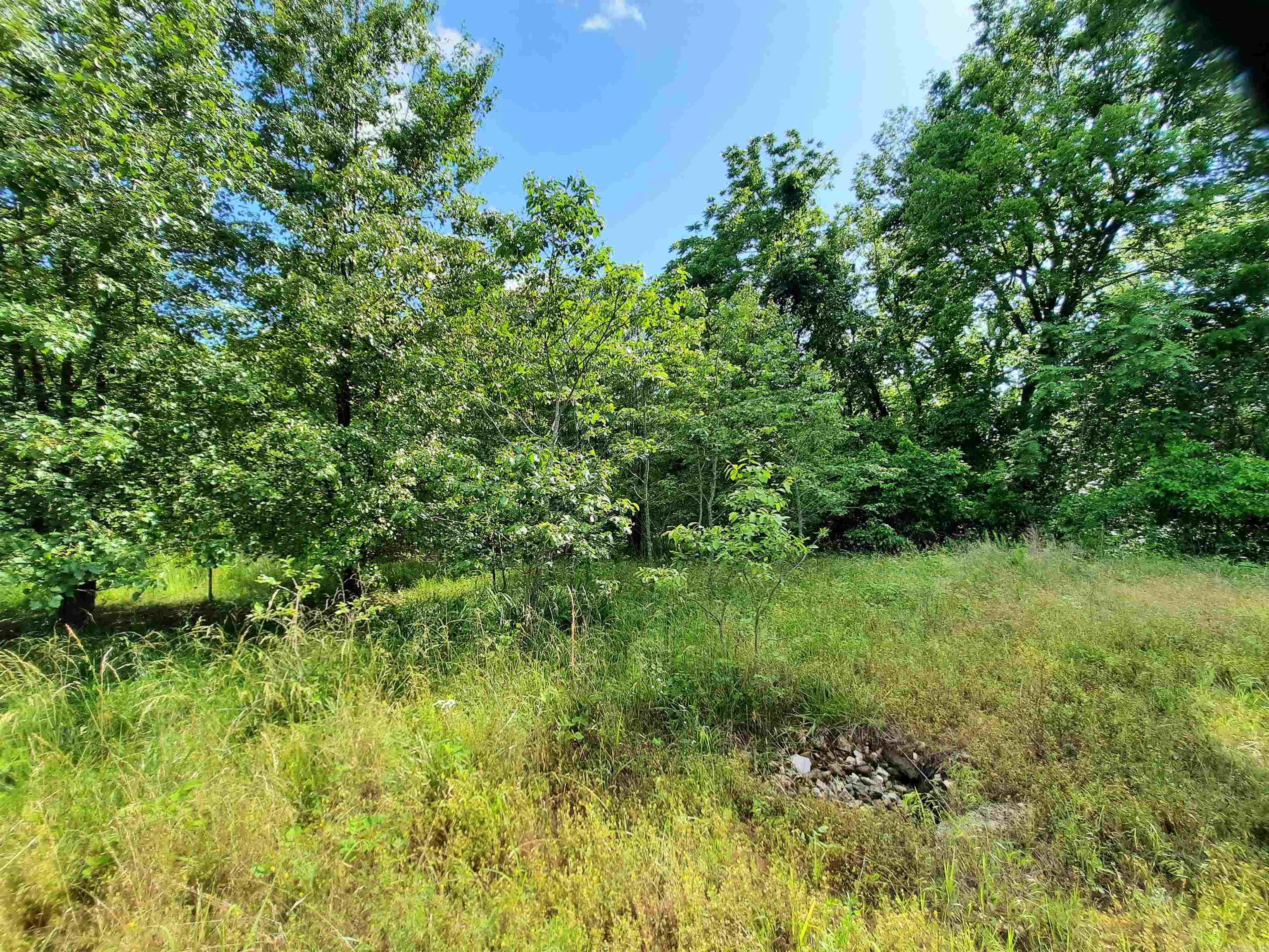 000  Warren  Mountain View, AR