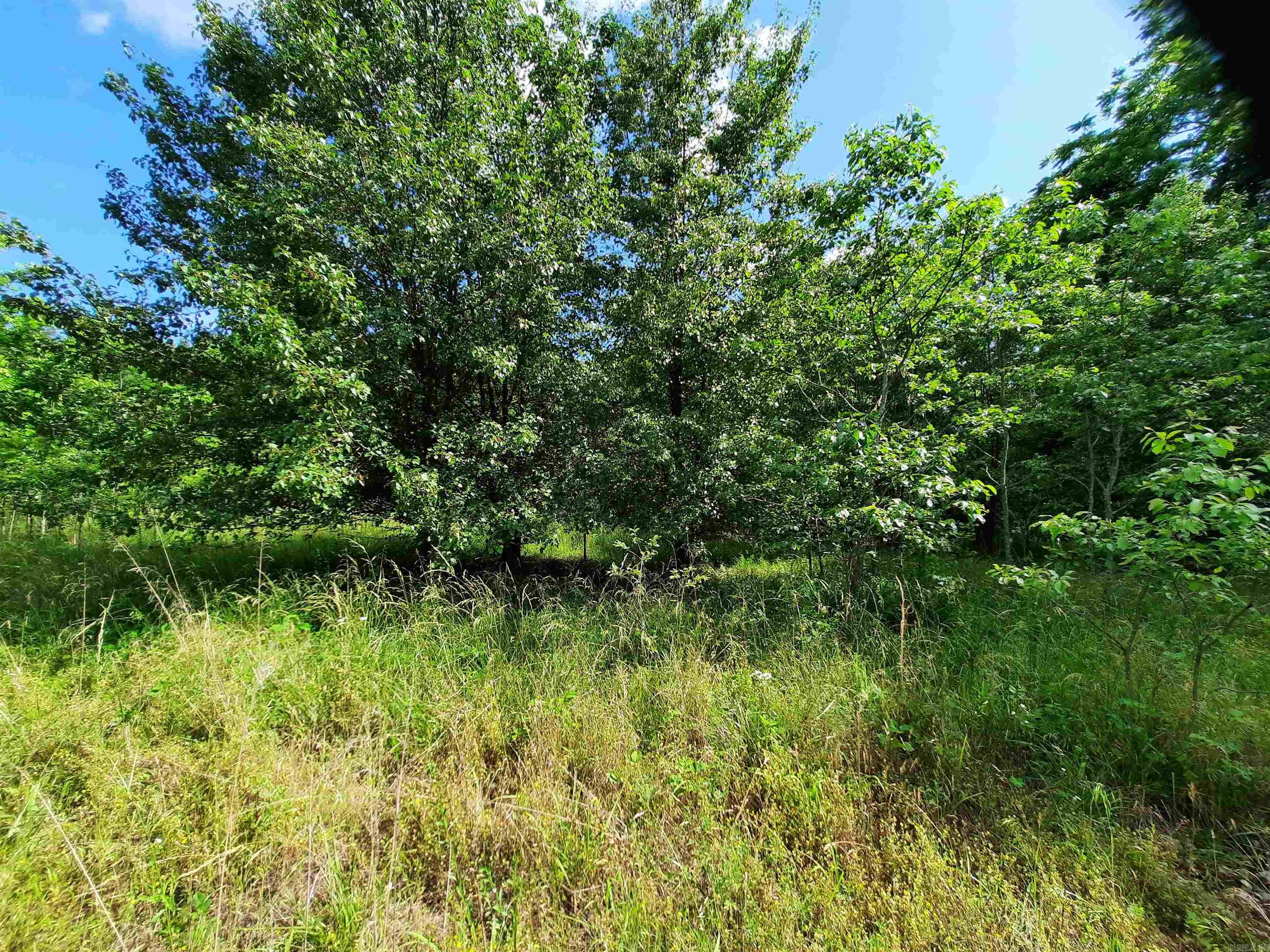 000  Warren  Mountain View, AR