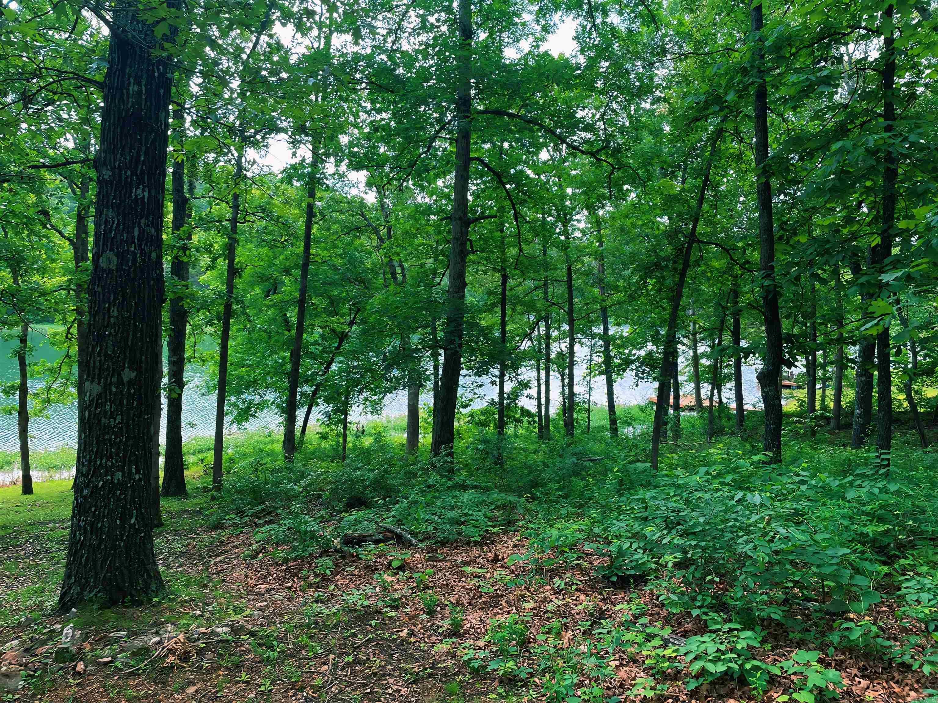 Lot 31  Enid  Cherokee Village, AR