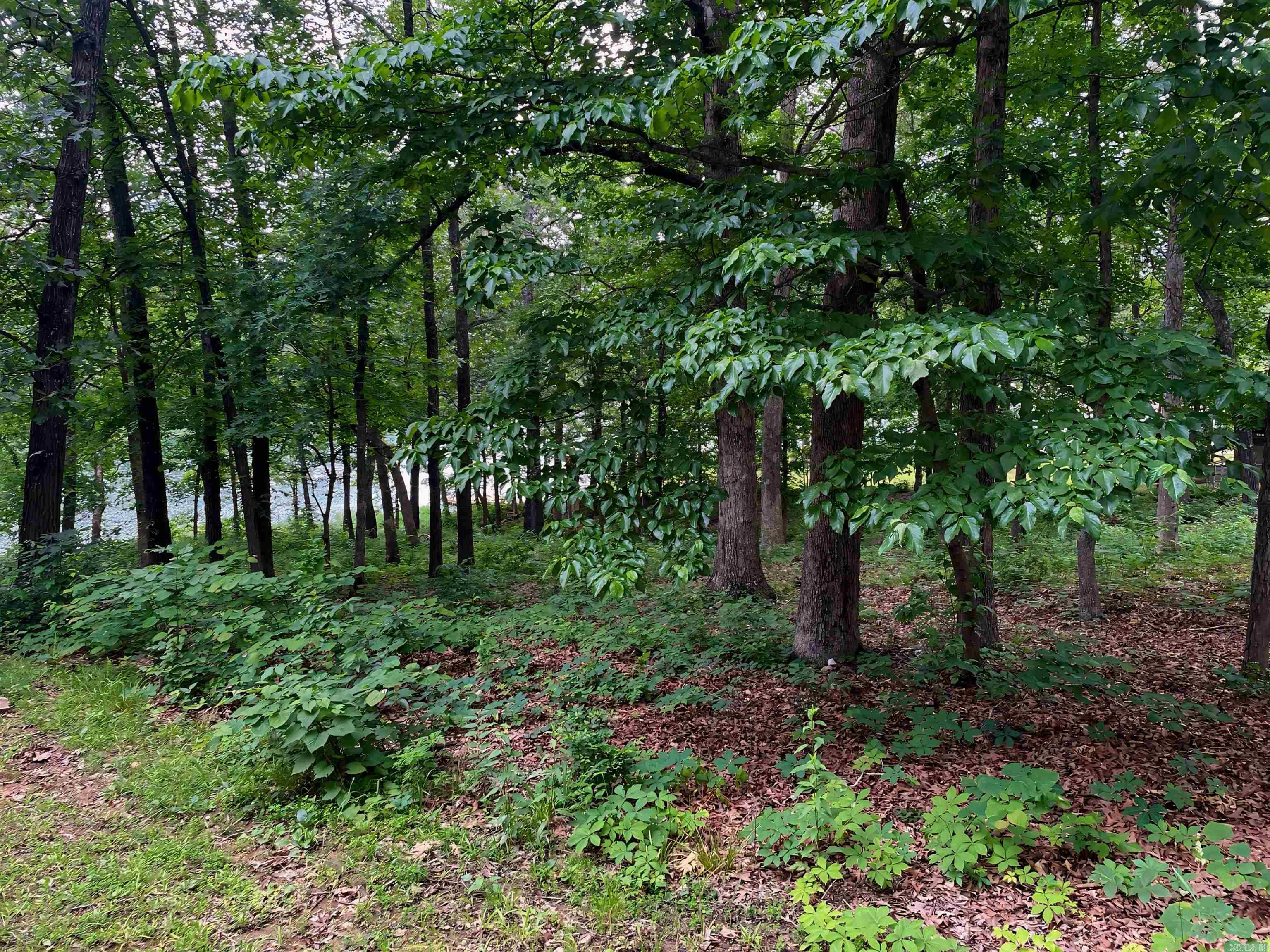 Lot 31  Enid  Cherokee Village, AR