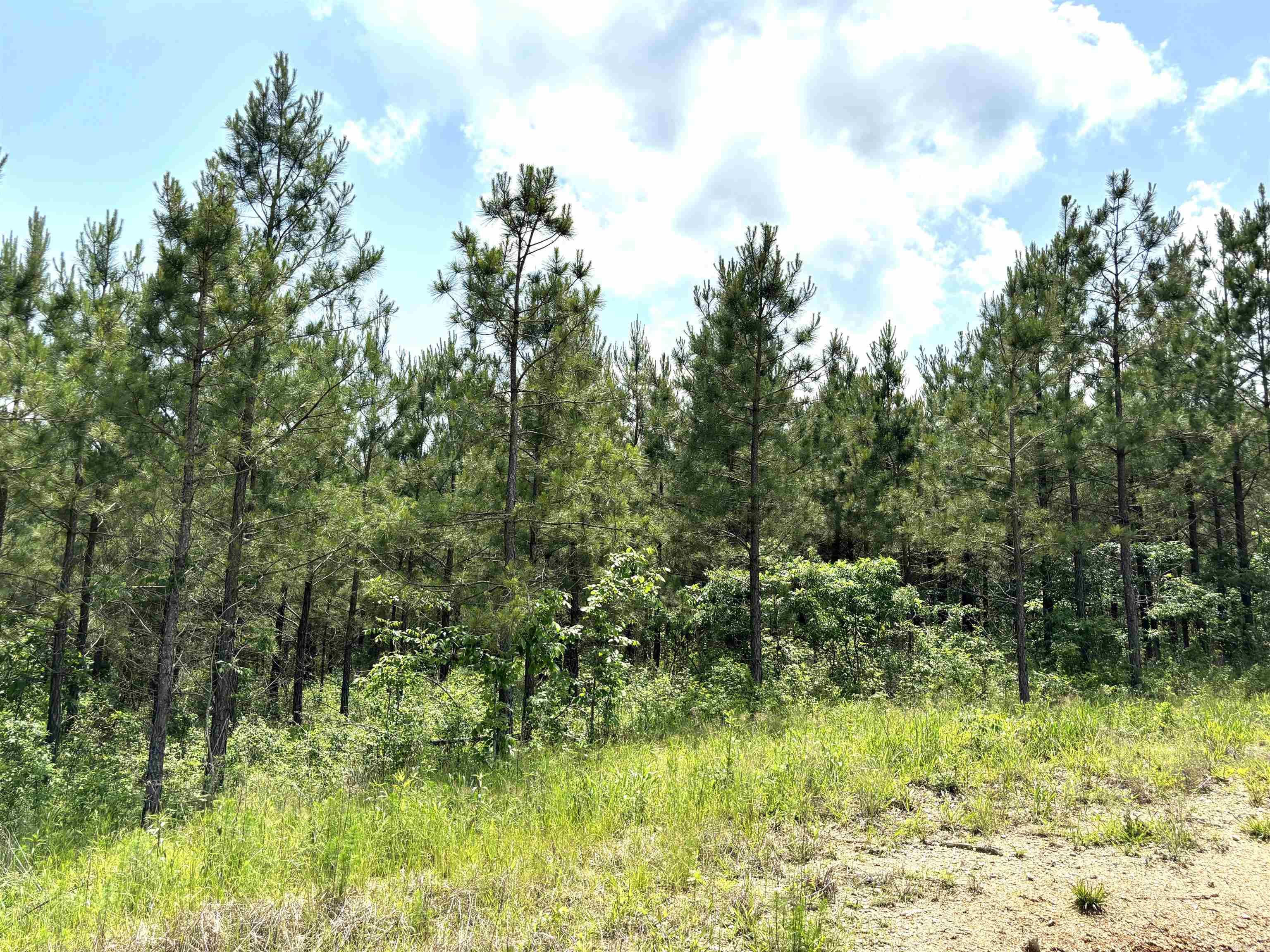 lot 27  Grant County Road 763  Sheridan, AR