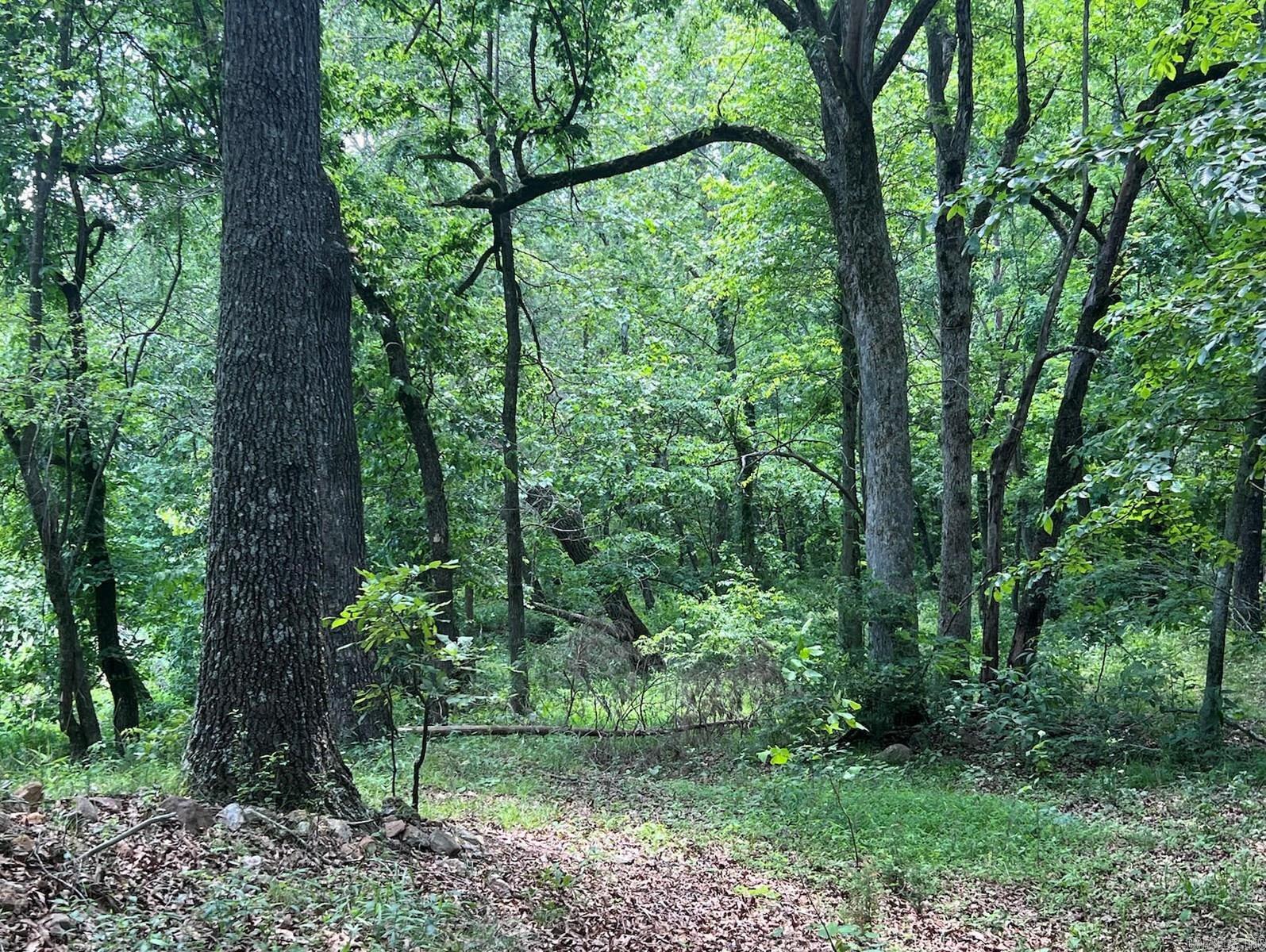 3238  Old Sturkie Road  Salem, AR